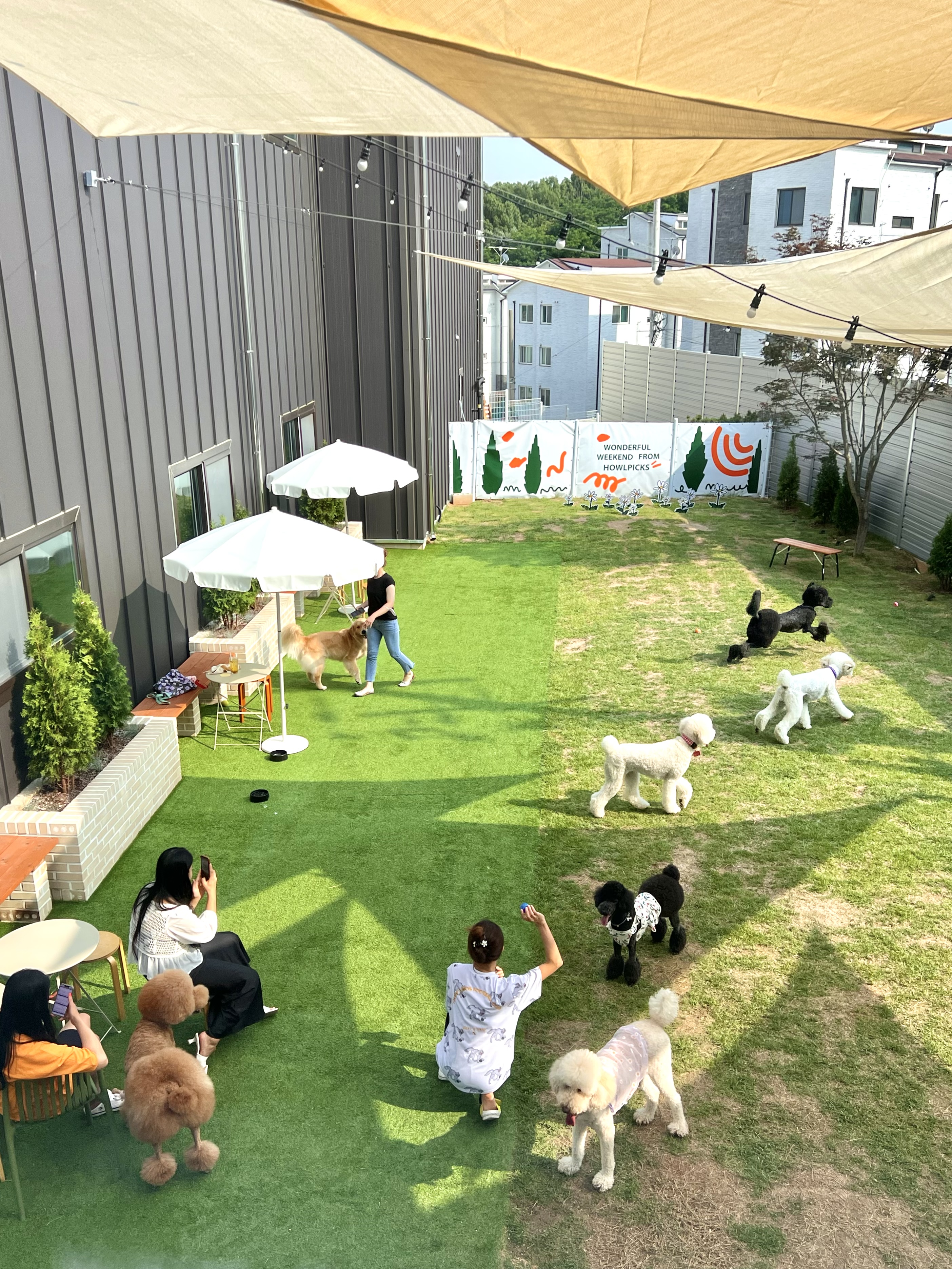 하울픽스 2