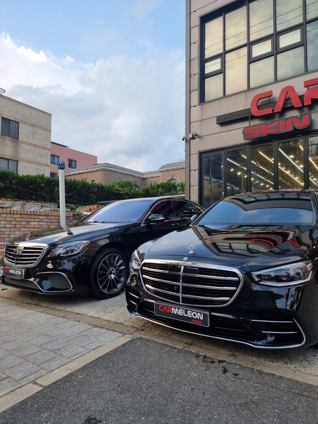 카멜레온 디테일 대표 이미지