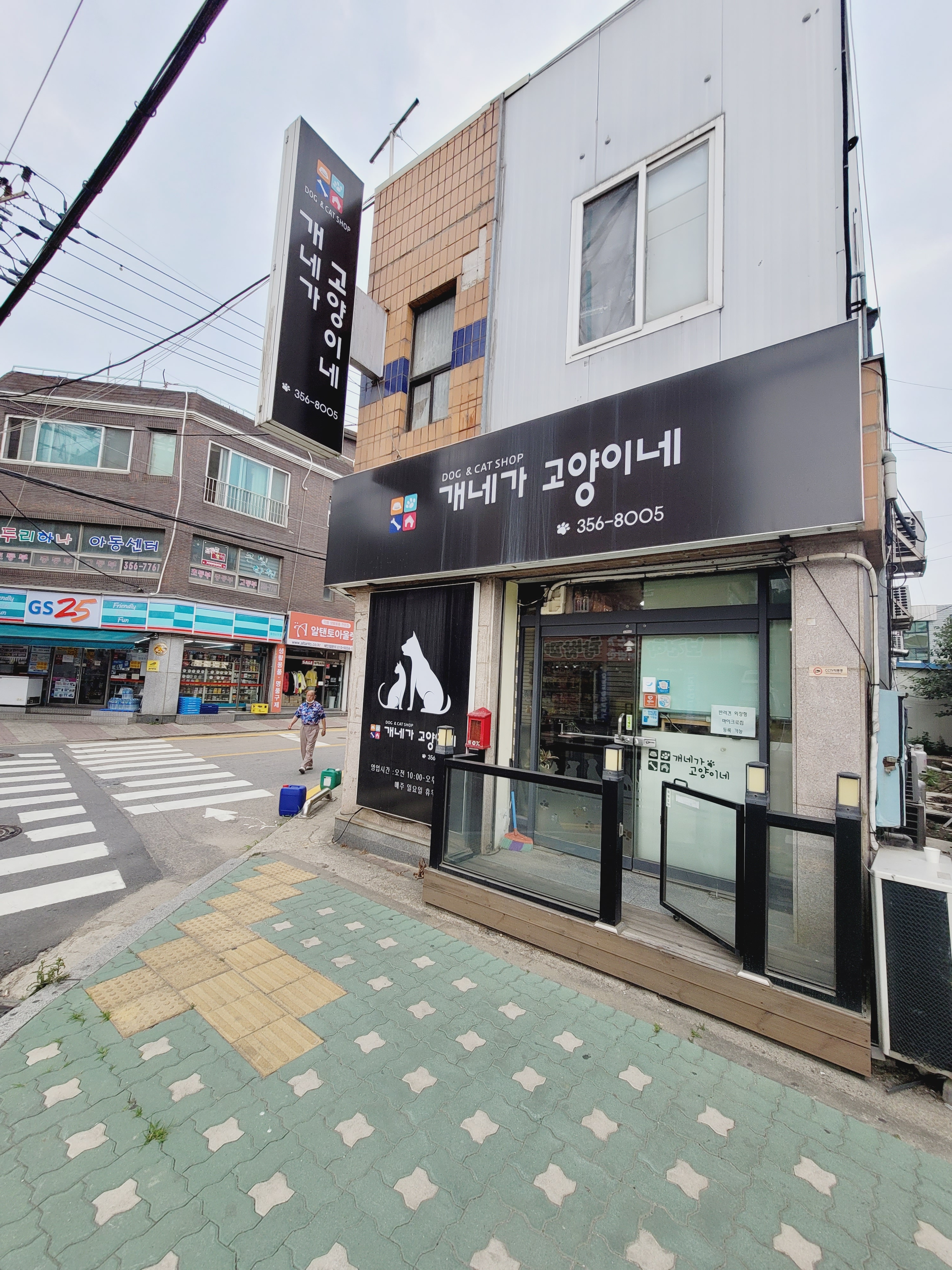 개네가고양이네