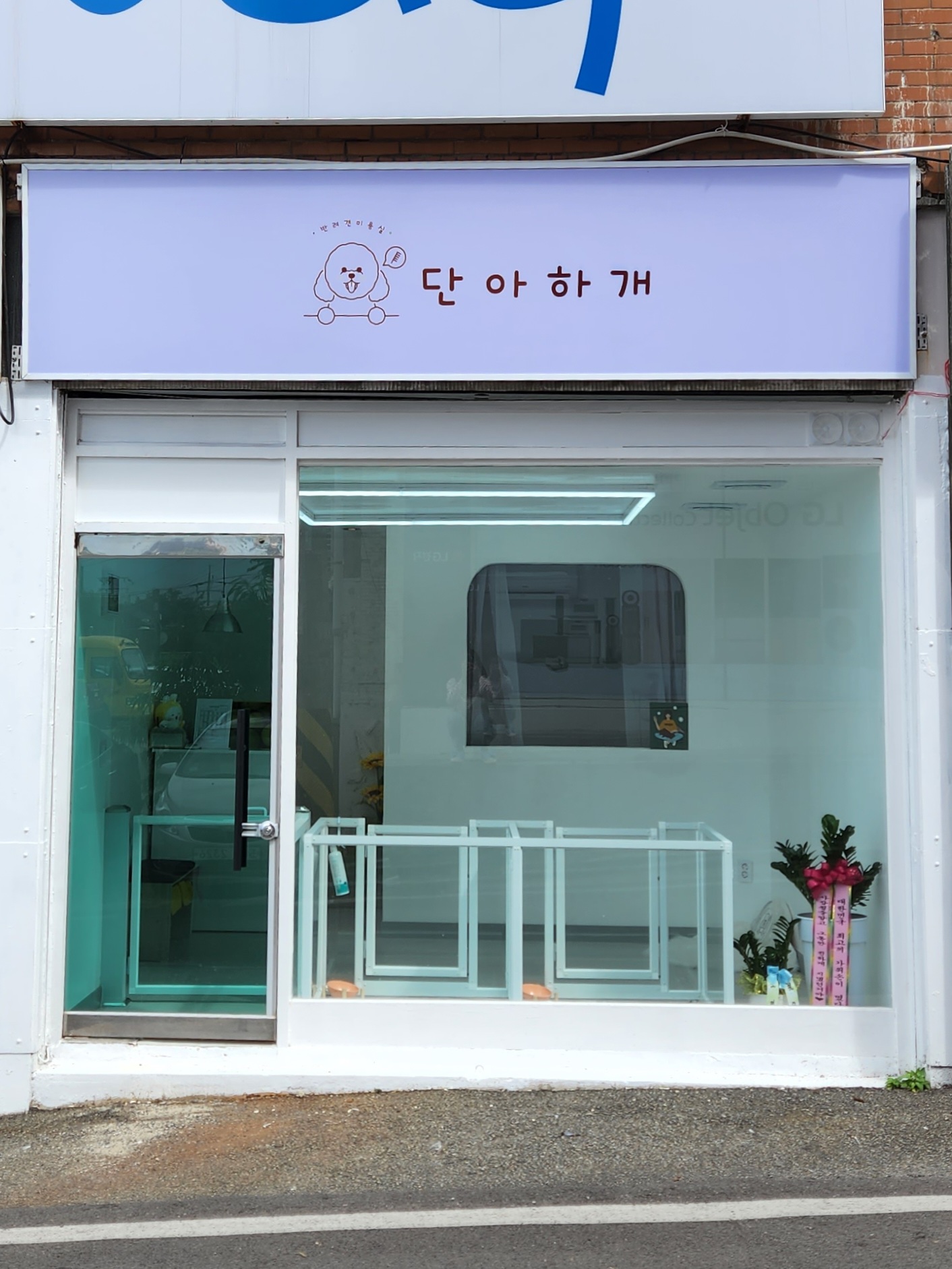 단아하개 대표 이미지