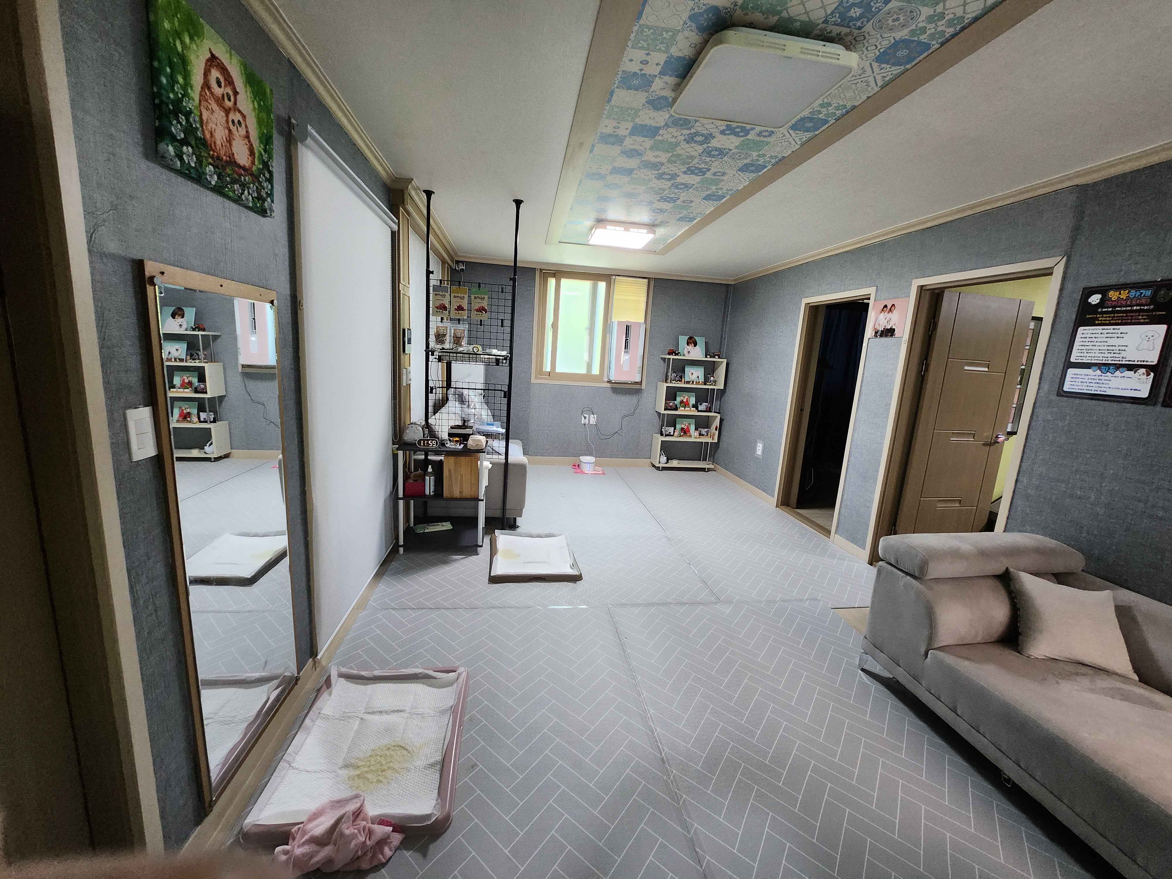 행복하개 대표 이미지