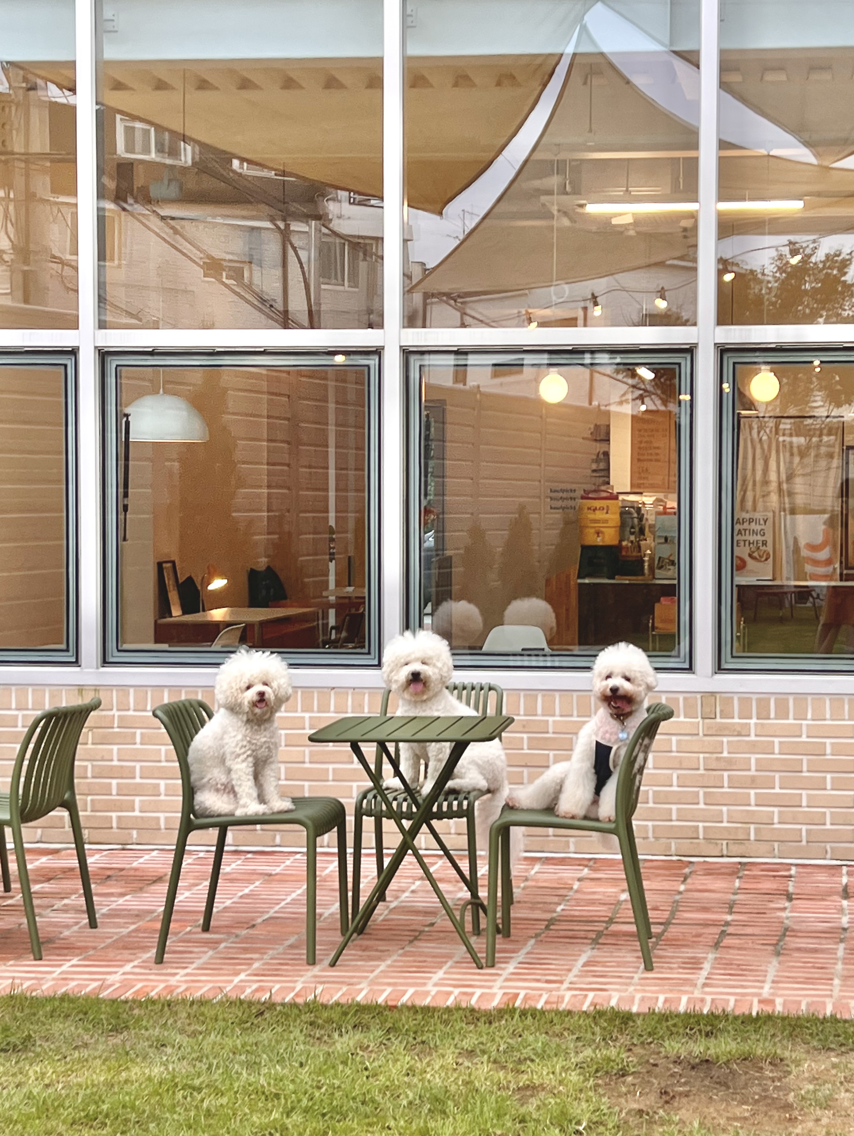 하울픽스 대표 이미지