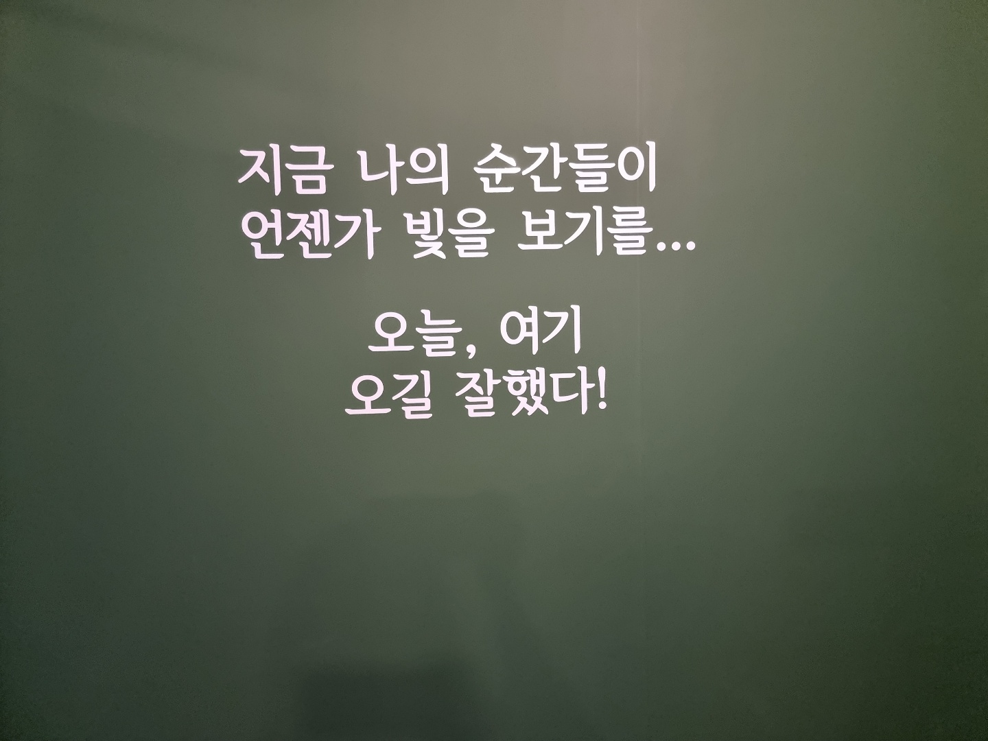 업체사진