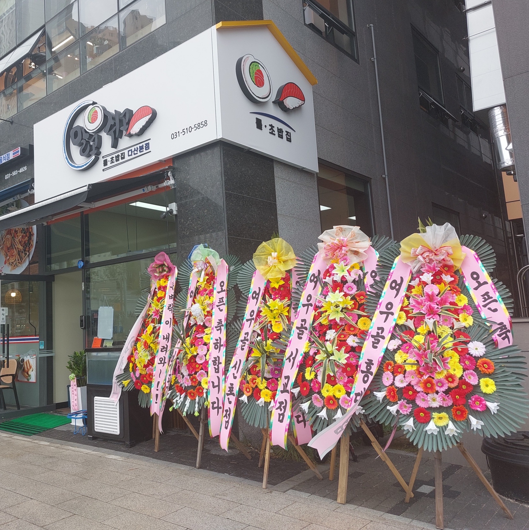 말고쥐고