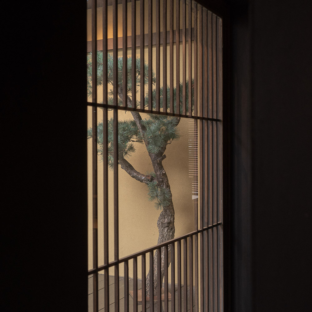일상엔