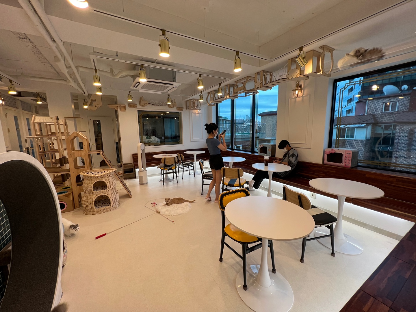 아이조아펫파크 서울점
