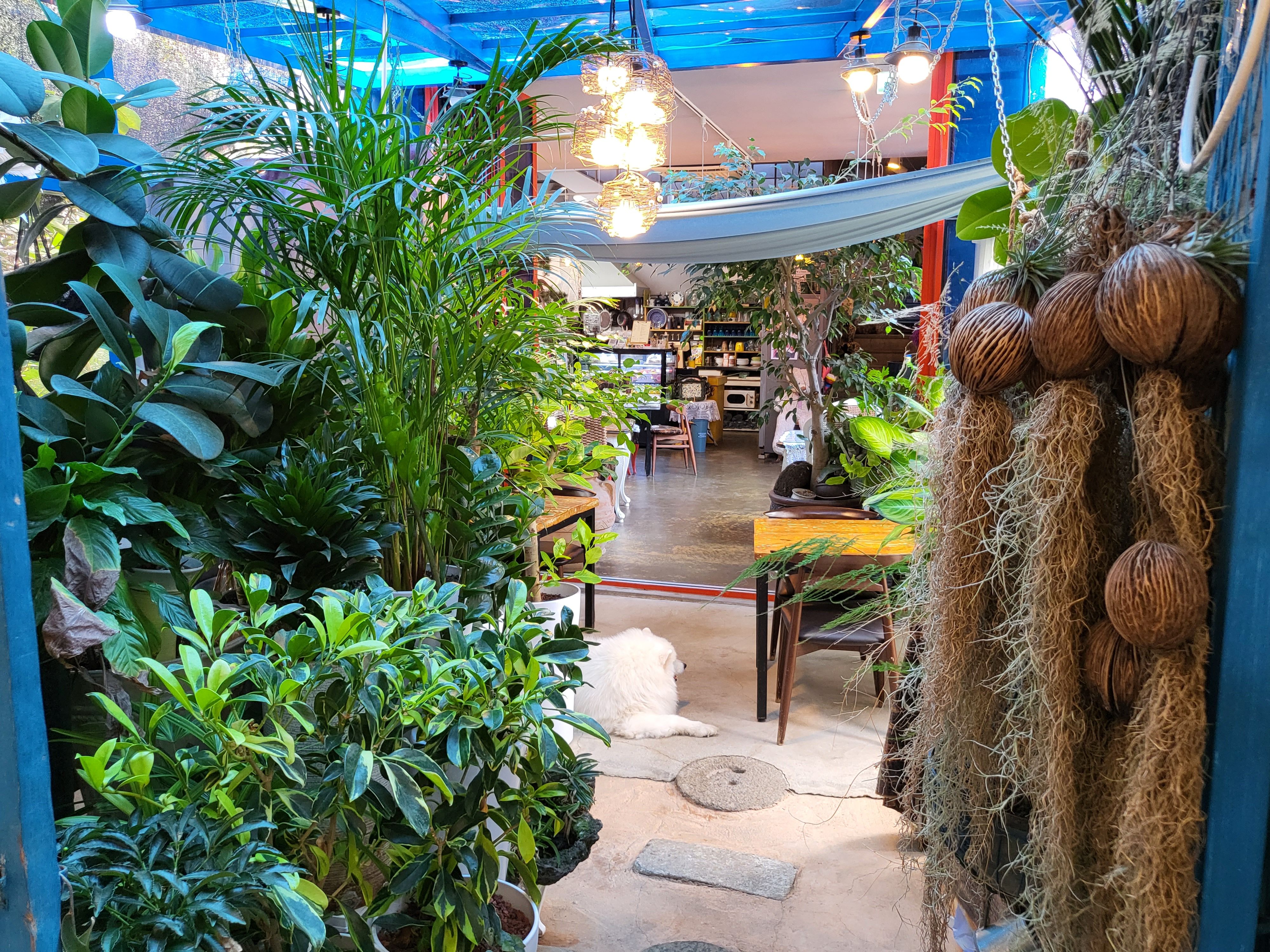 꽃길 대표 이미지