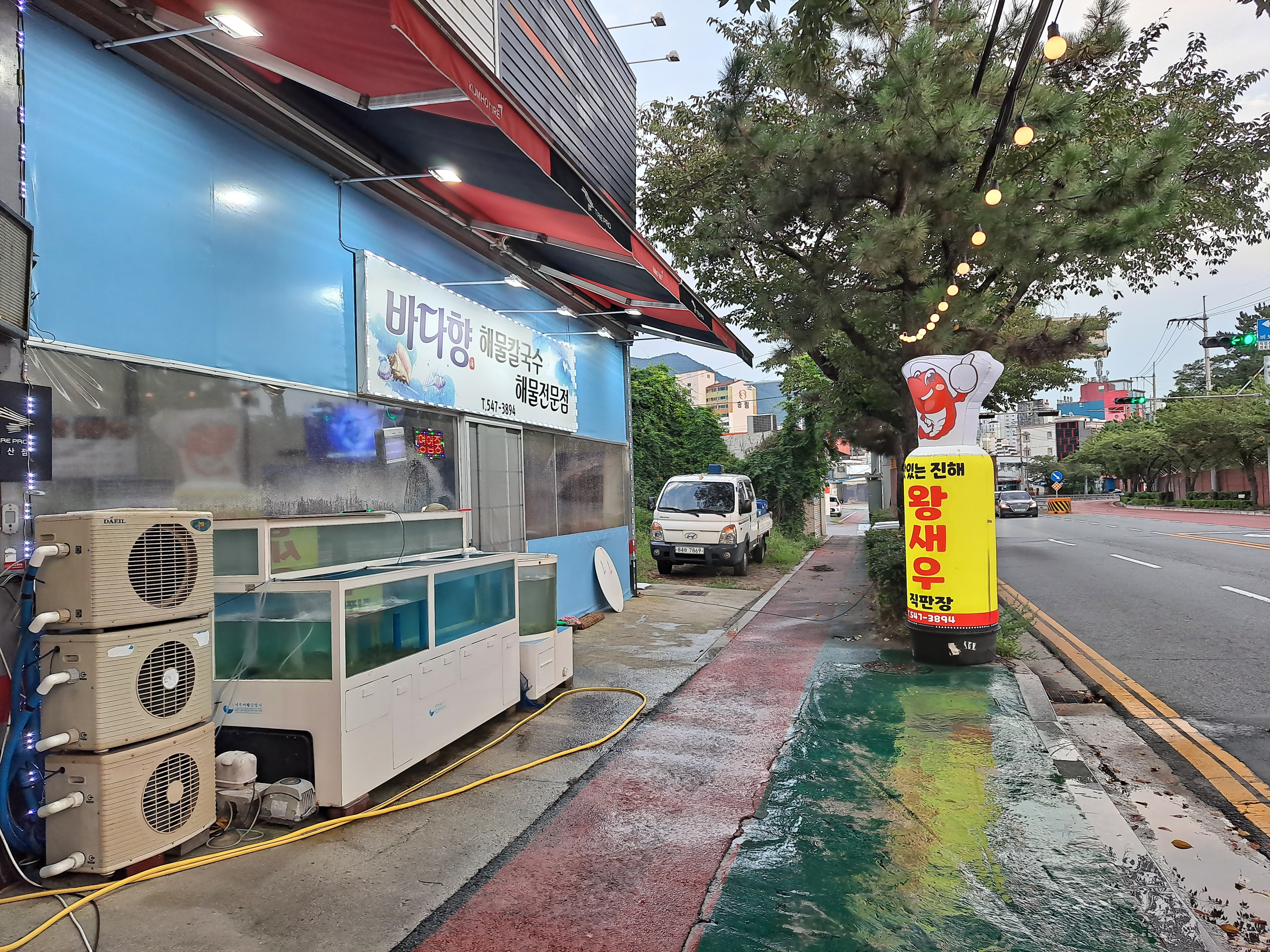 바다향