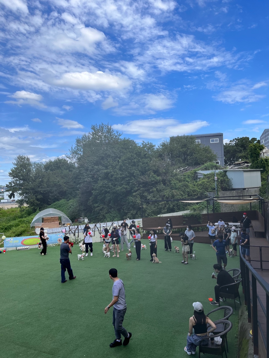 레드퍼피카페 7