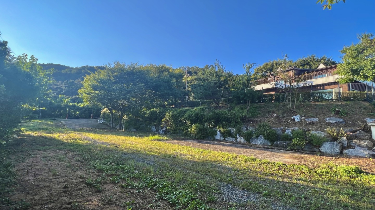 댄싱도그 대표 이미지