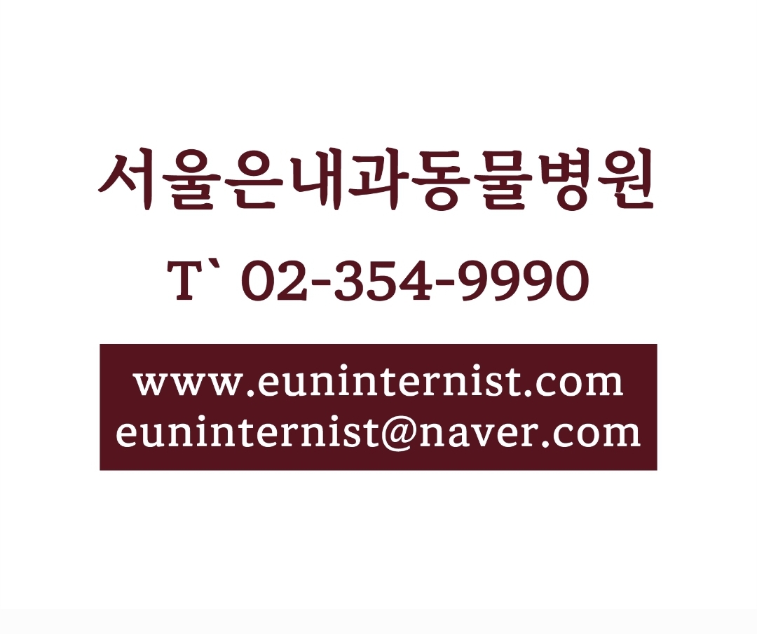 서울은내과동물병원 대표 이미지