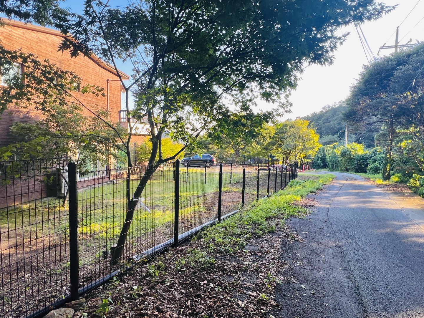 댄싱도그 대표 이미지