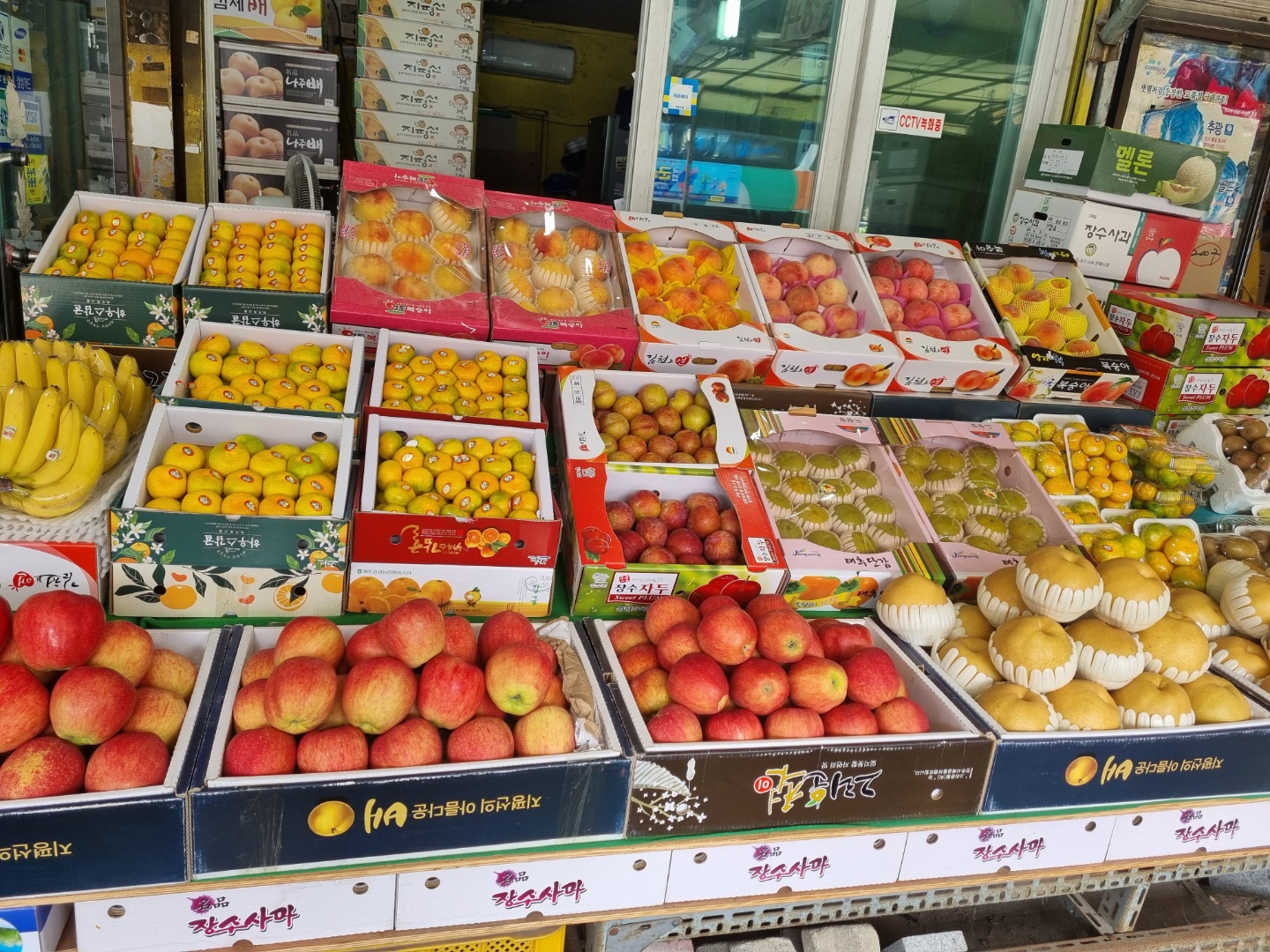 산지청과