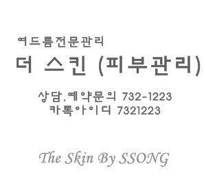더 스킨 대표 이미지