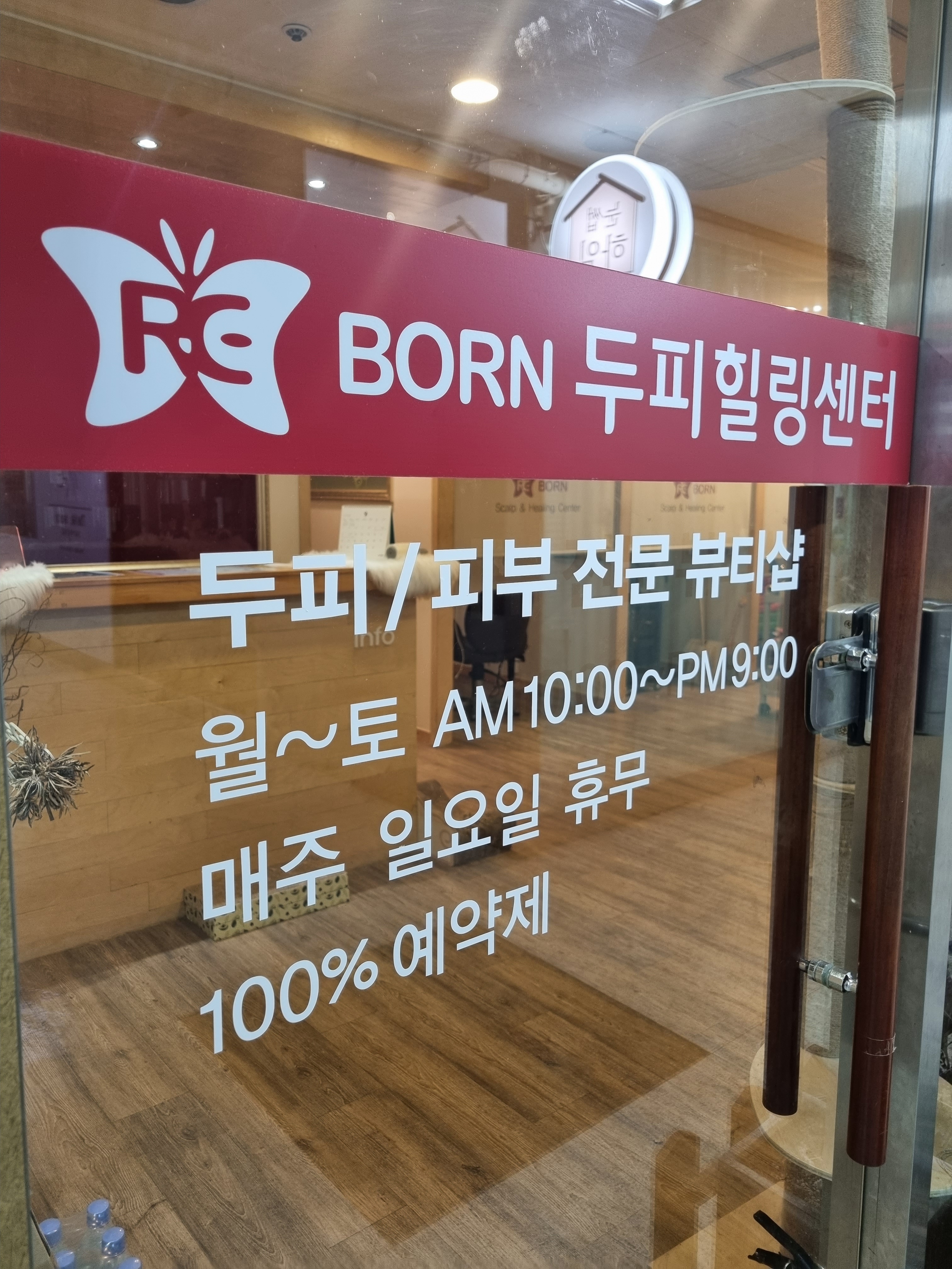 리본두피힐링센터 photo 2
