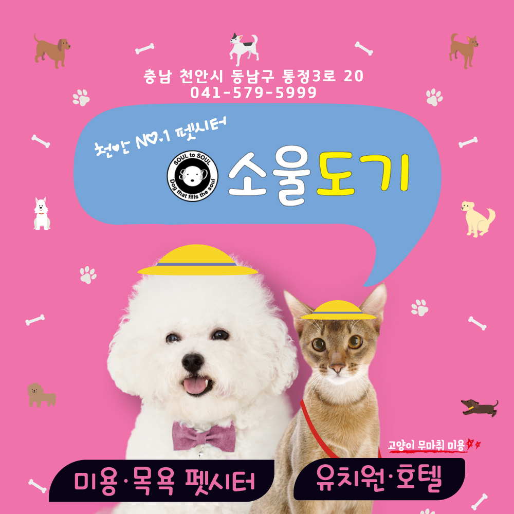 소울 도기 대표 이미지