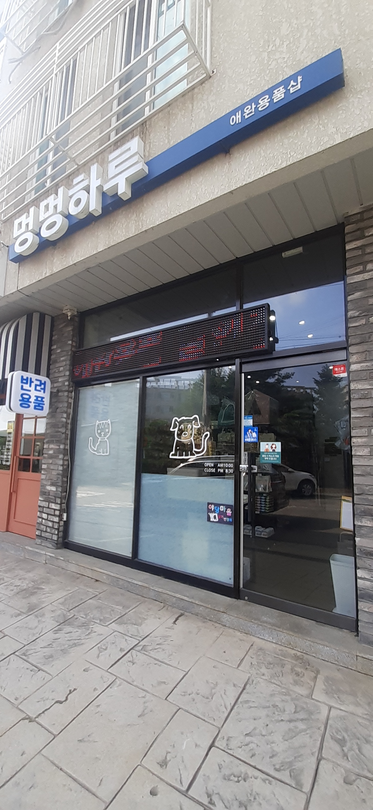 멍멍하루