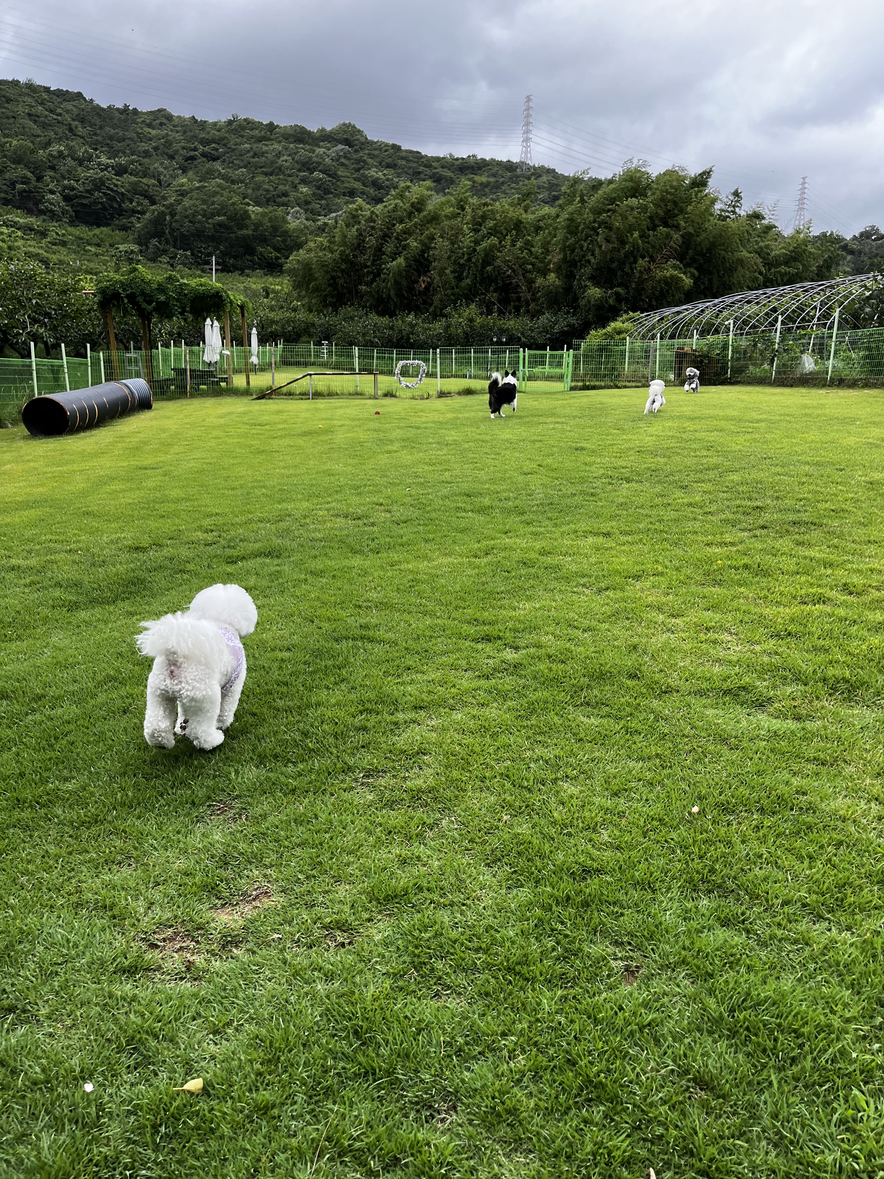 카페써니힐 4