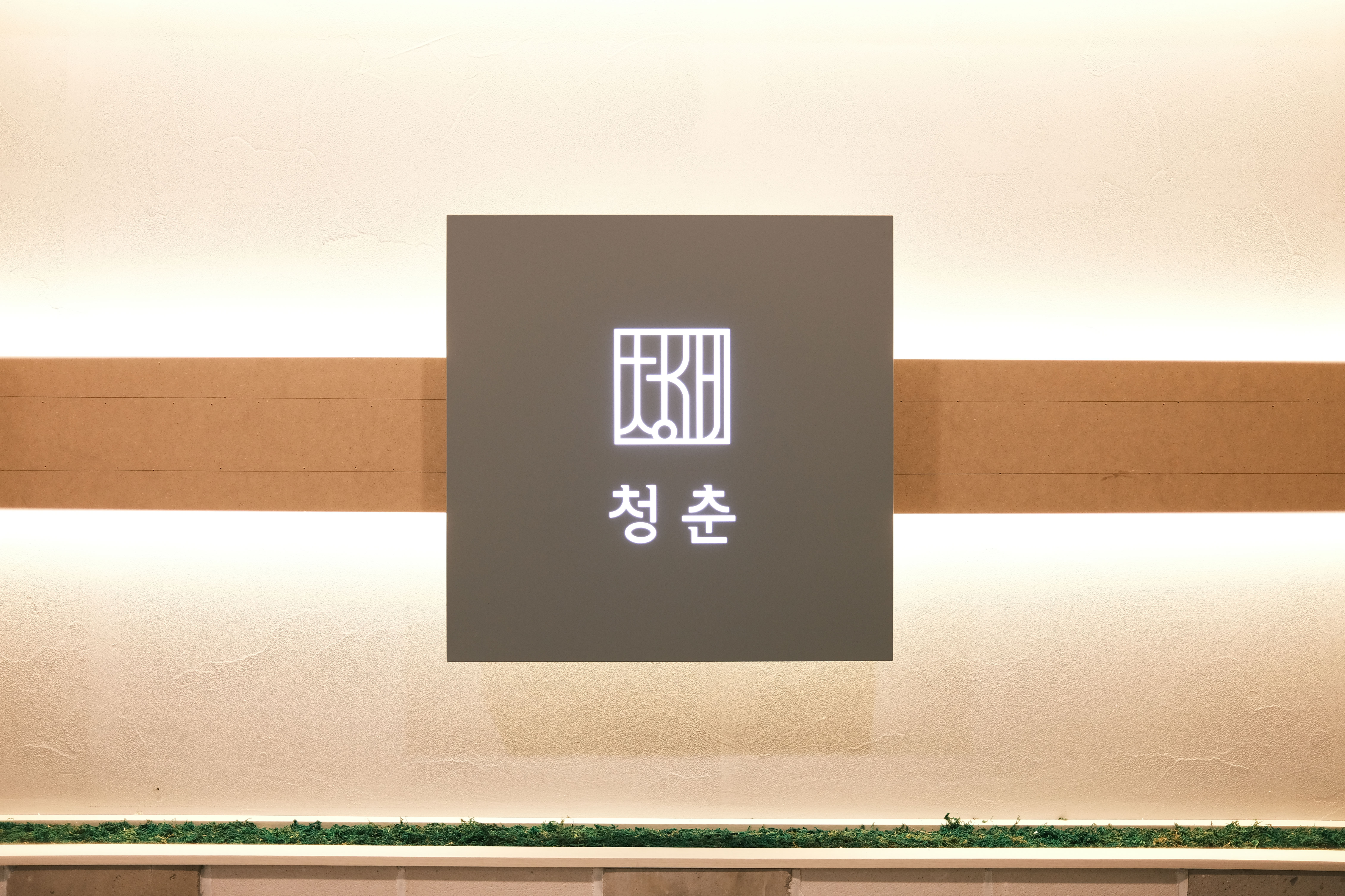청춘