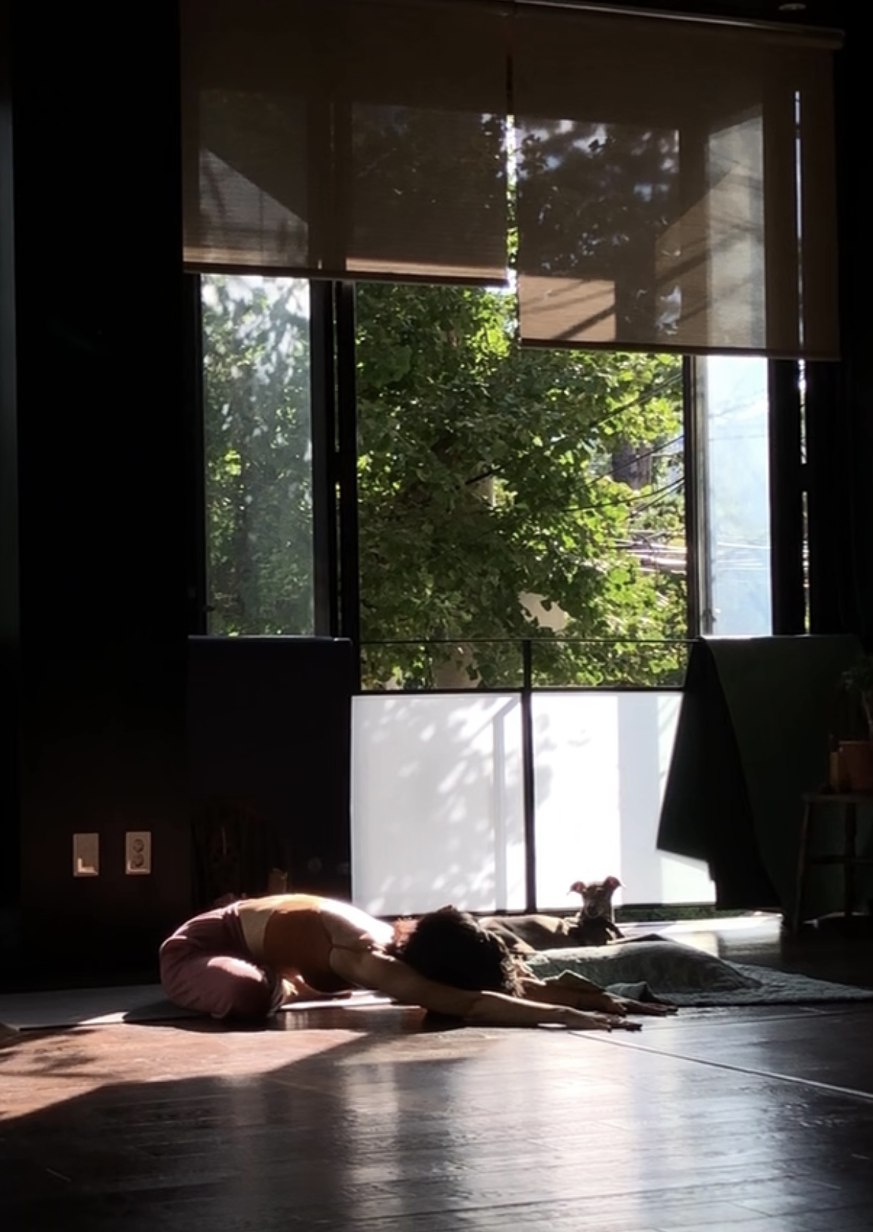 이어가는 움직임 대표 이미지