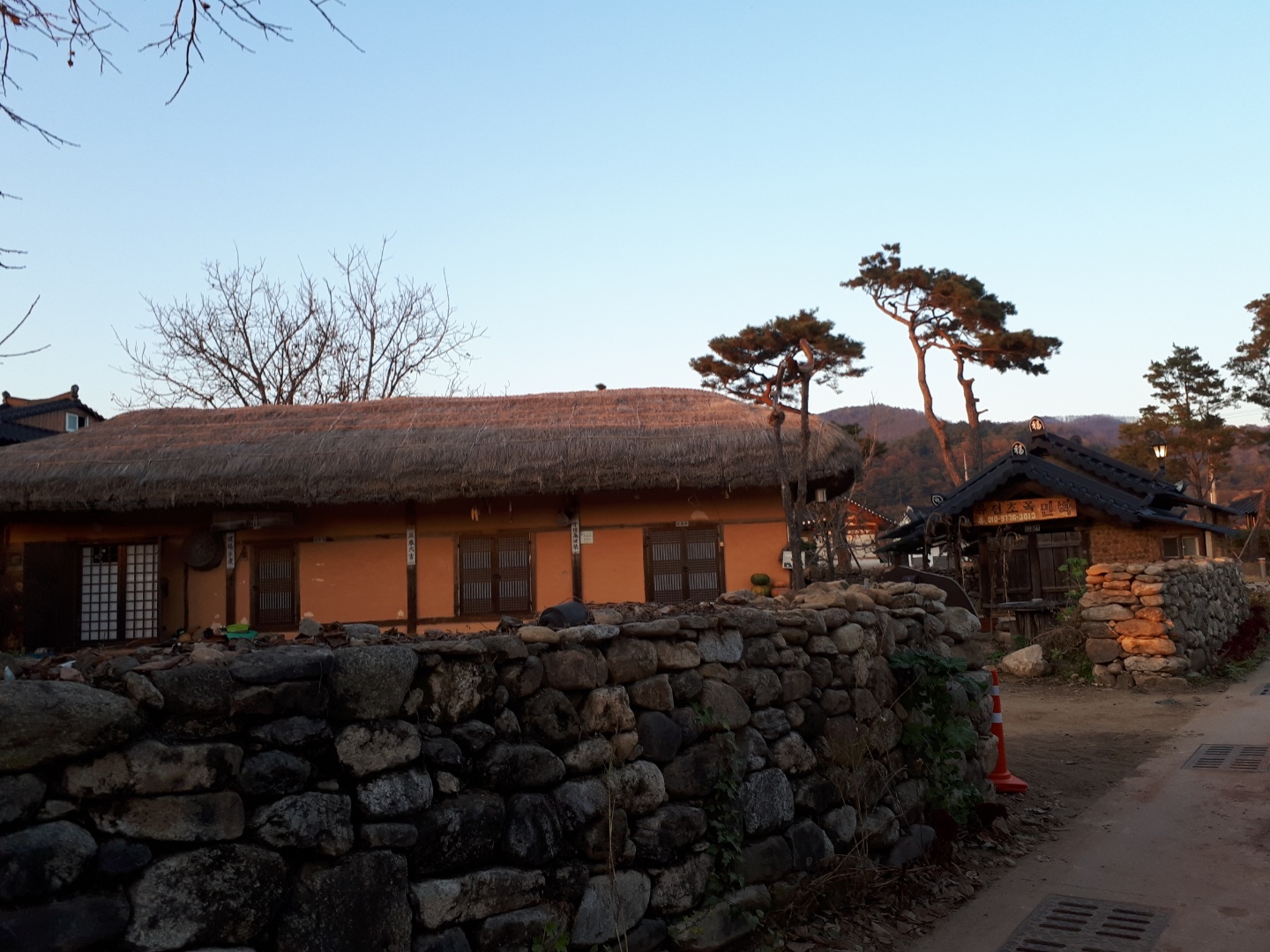 유천초옥