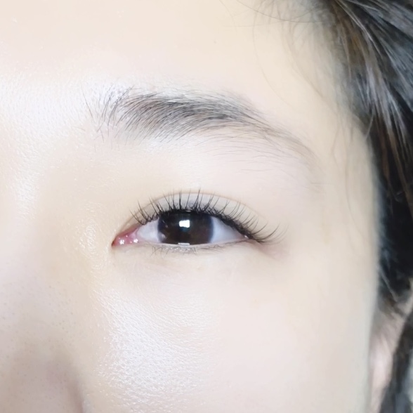 래쉬 레몬 대표 이미지