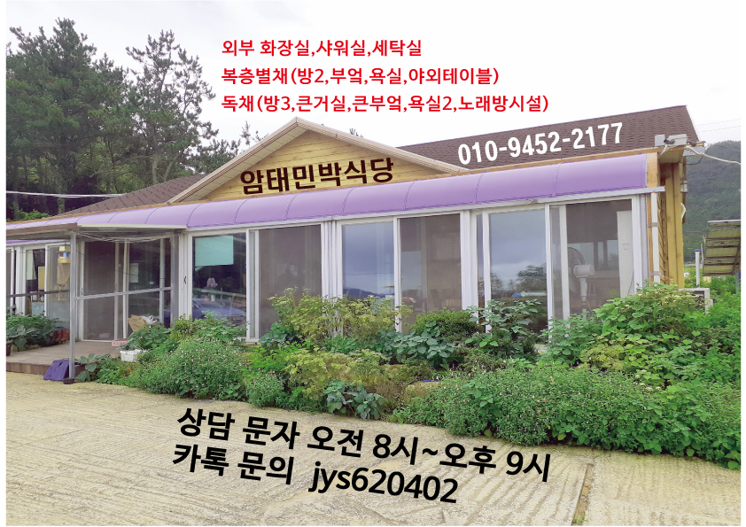 암태민박