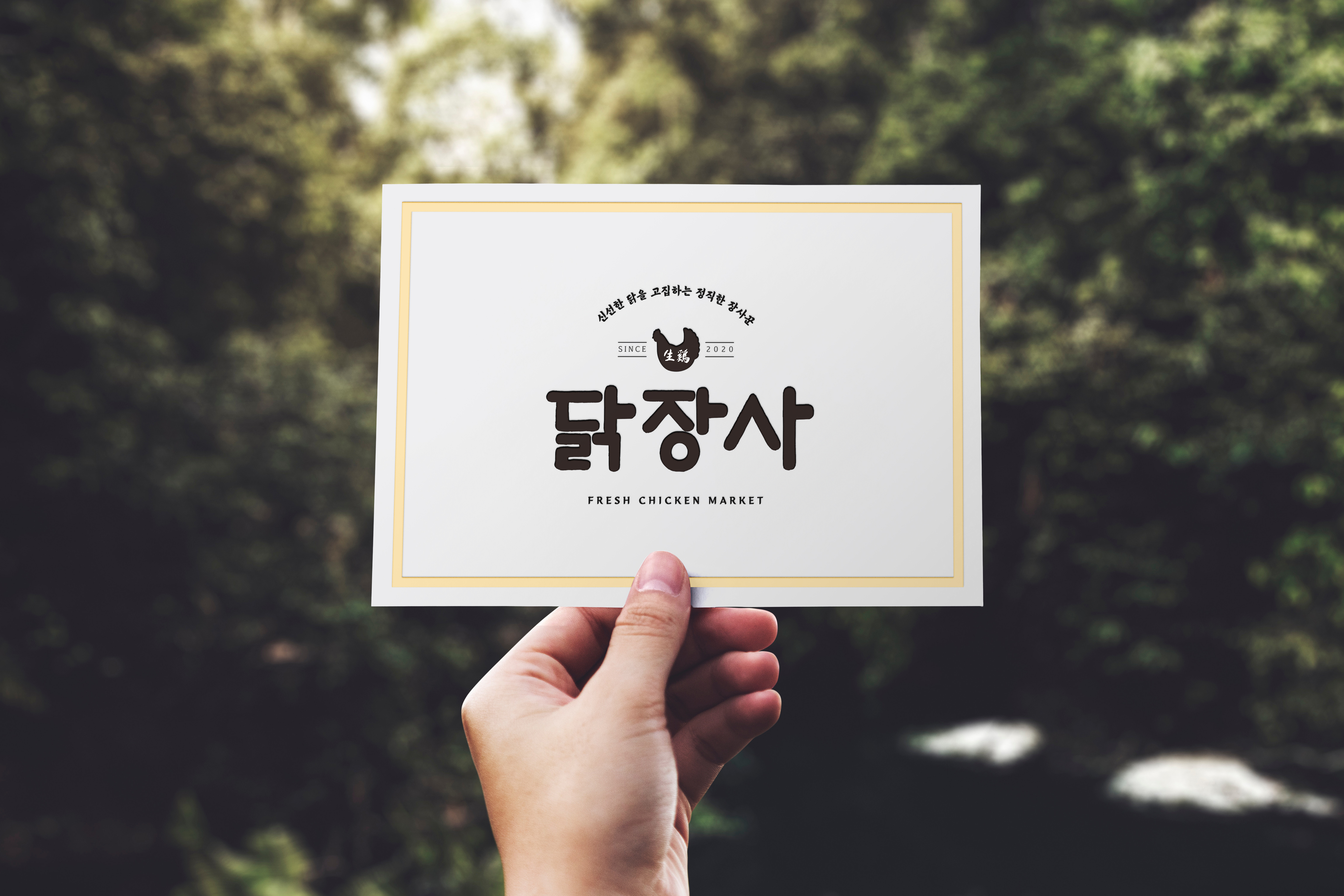 닭장사