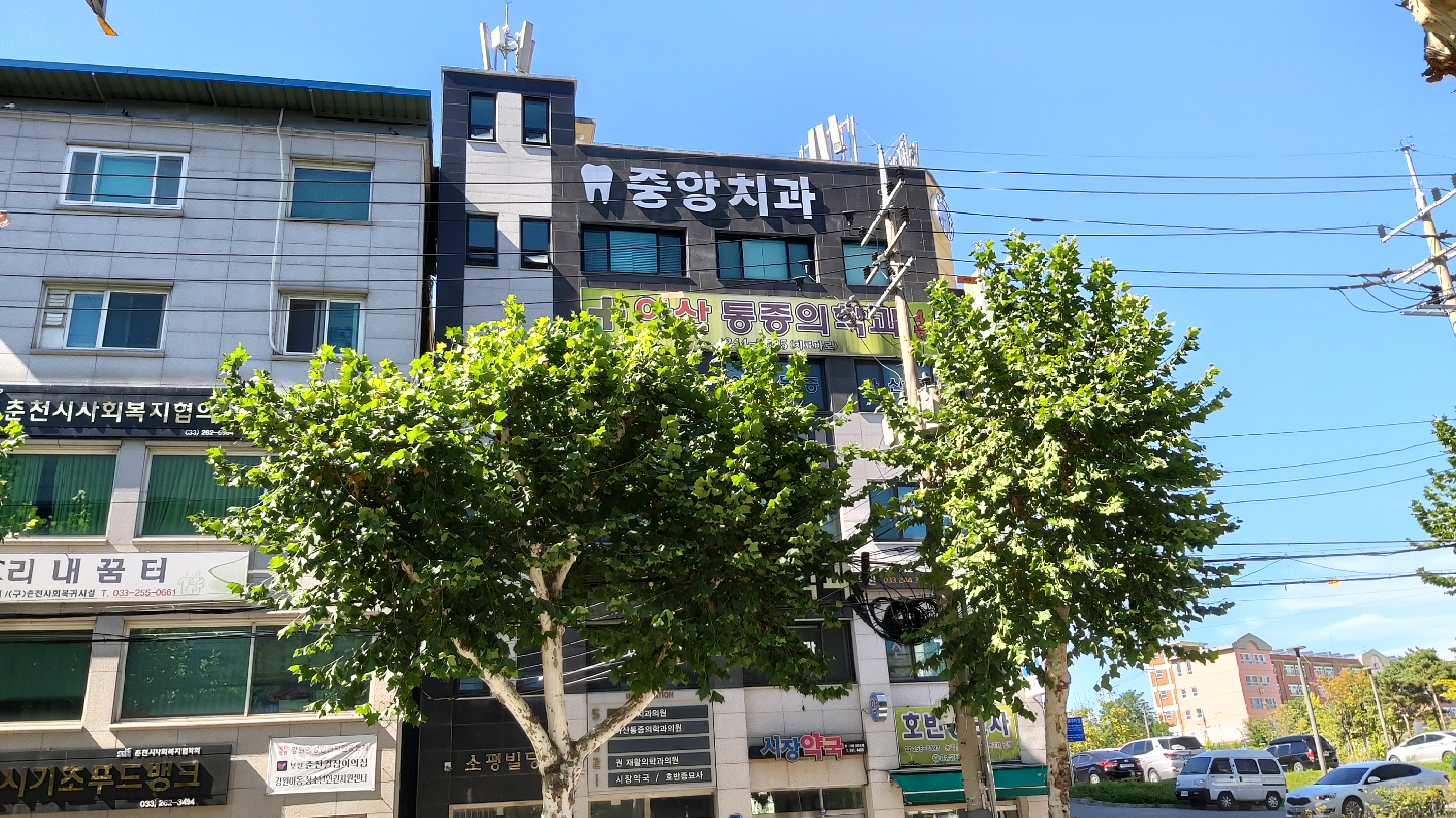 중앙치과의원 대표 이미지