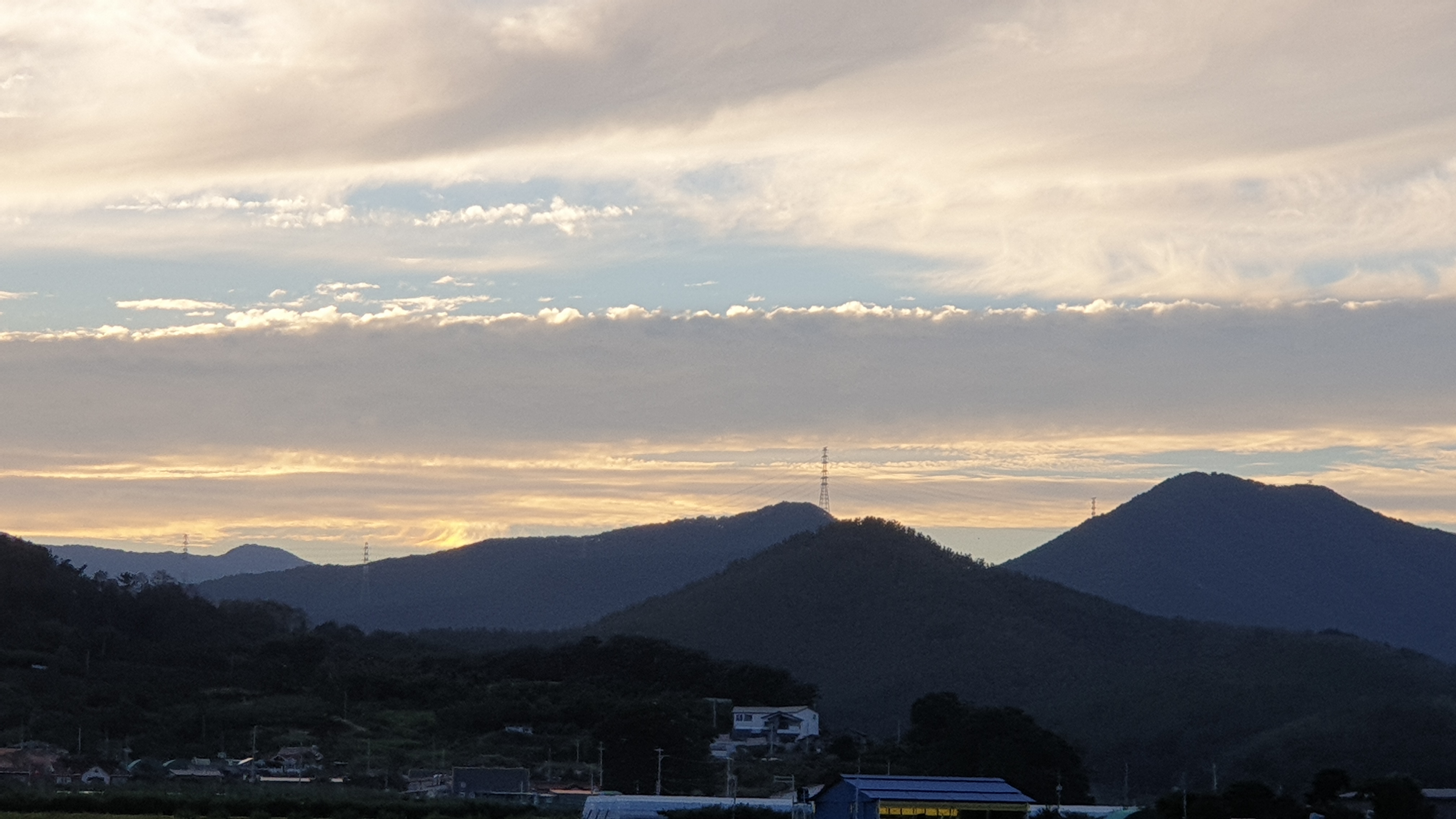 낙원벌초