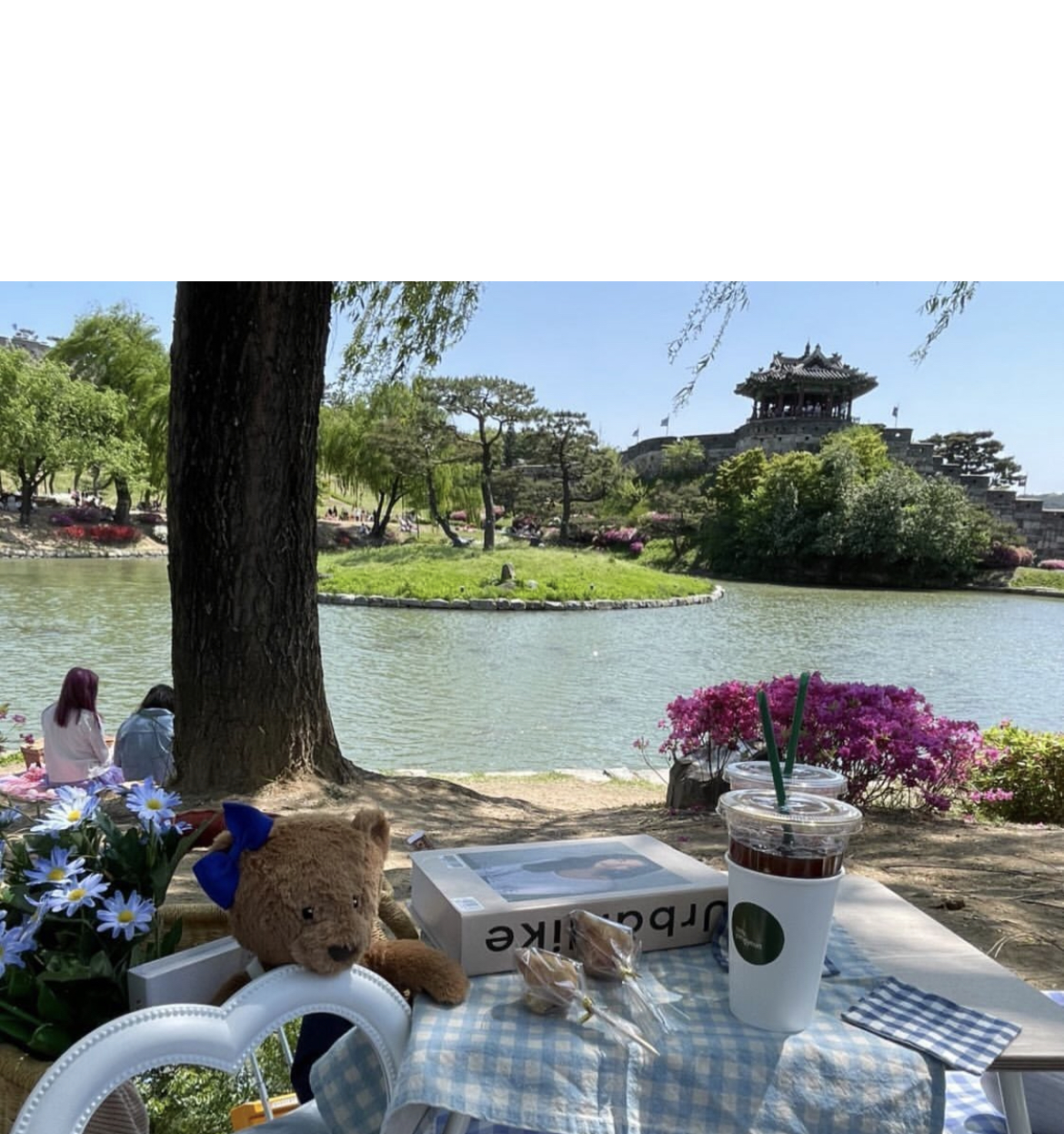 용연피크닉