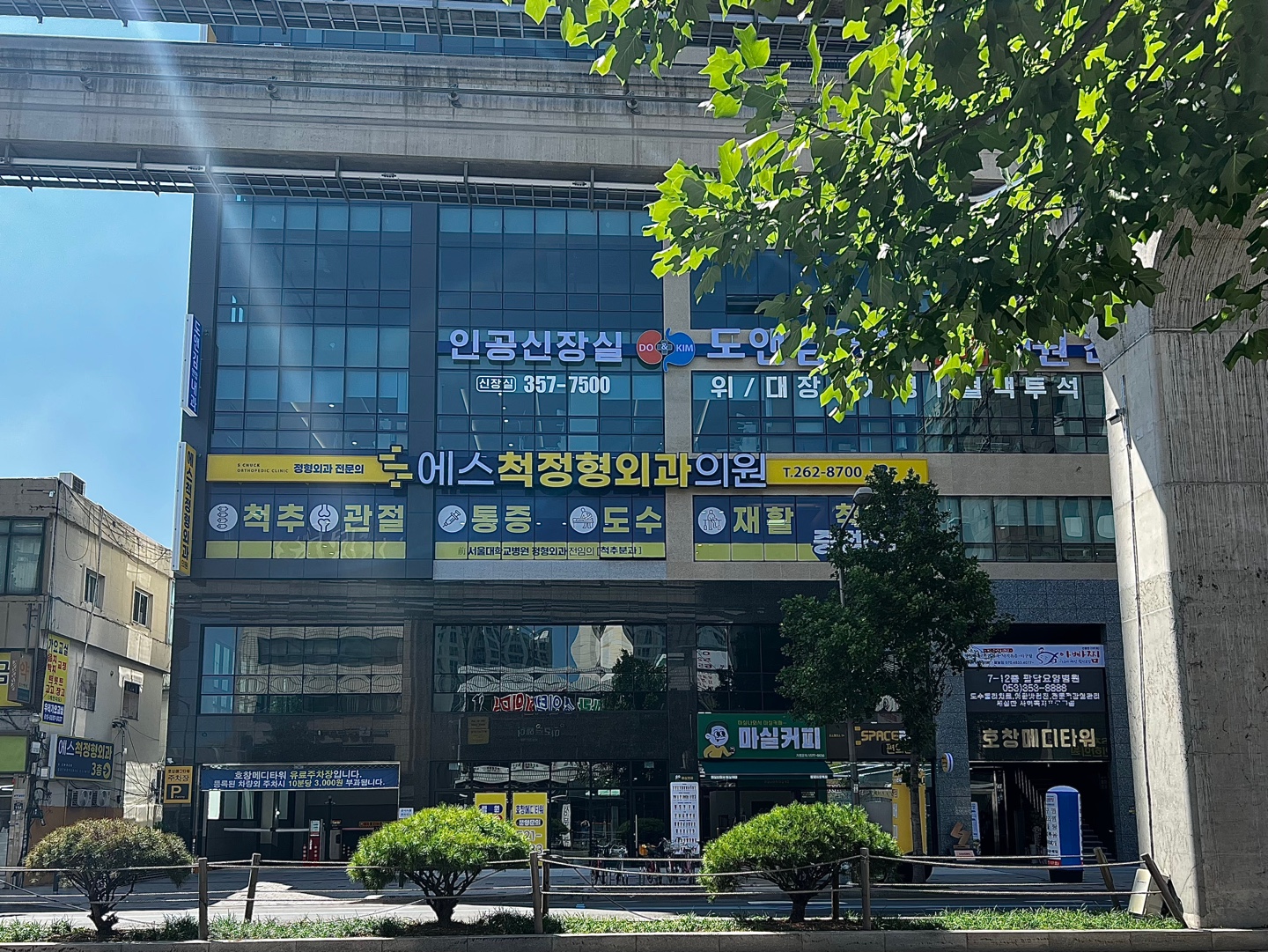 에스척정형외과의원