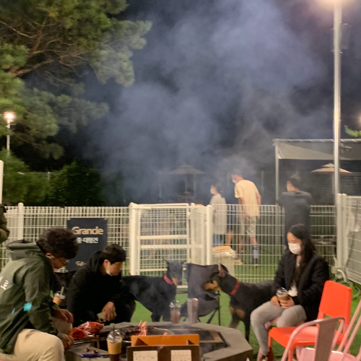 펠리스뻬로 파크 경기 애견맛집