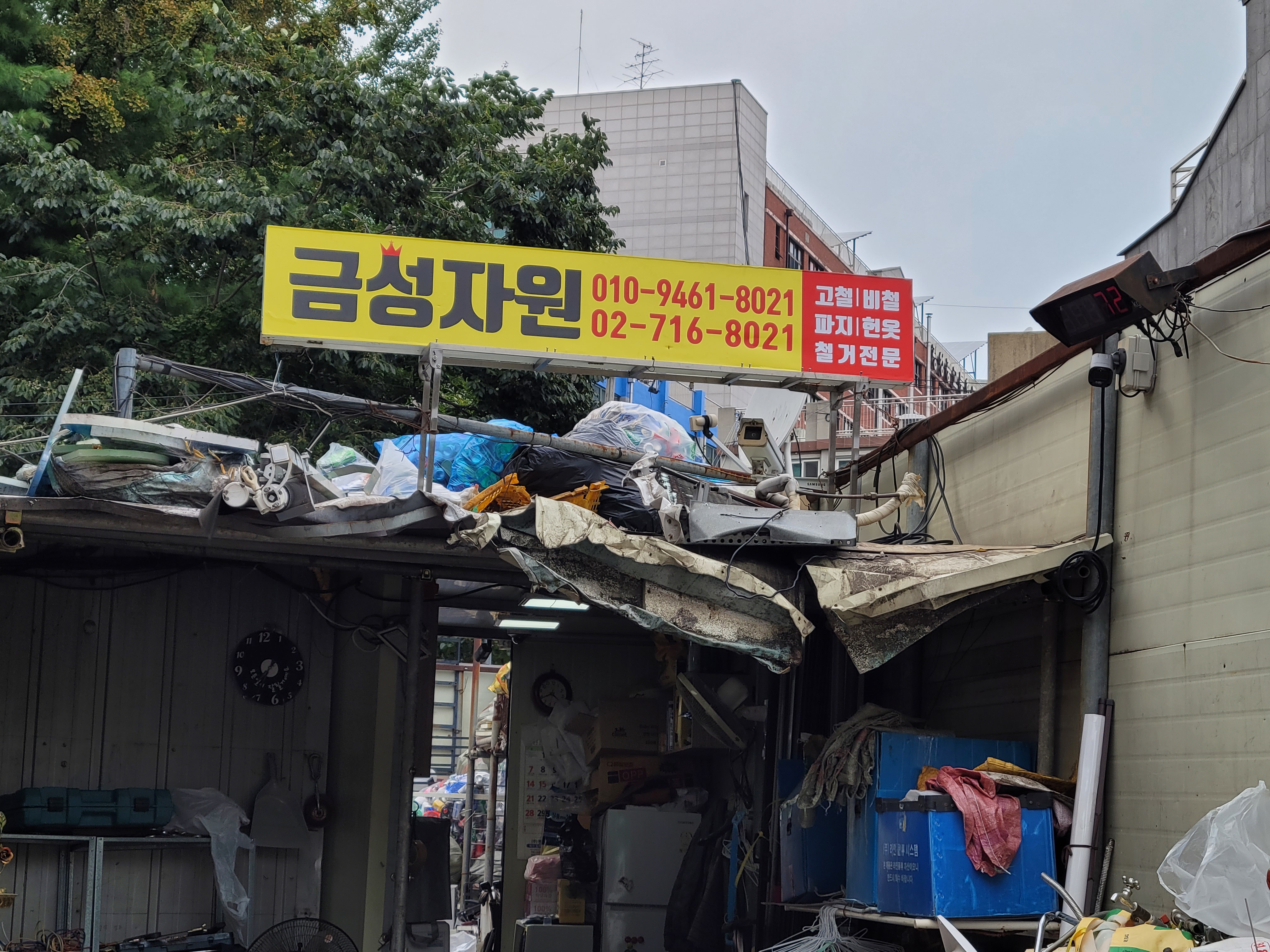 금성자원