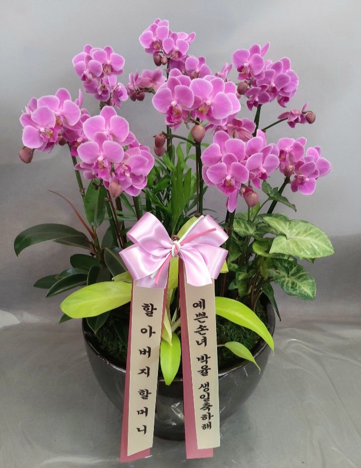 꽃사랑화원