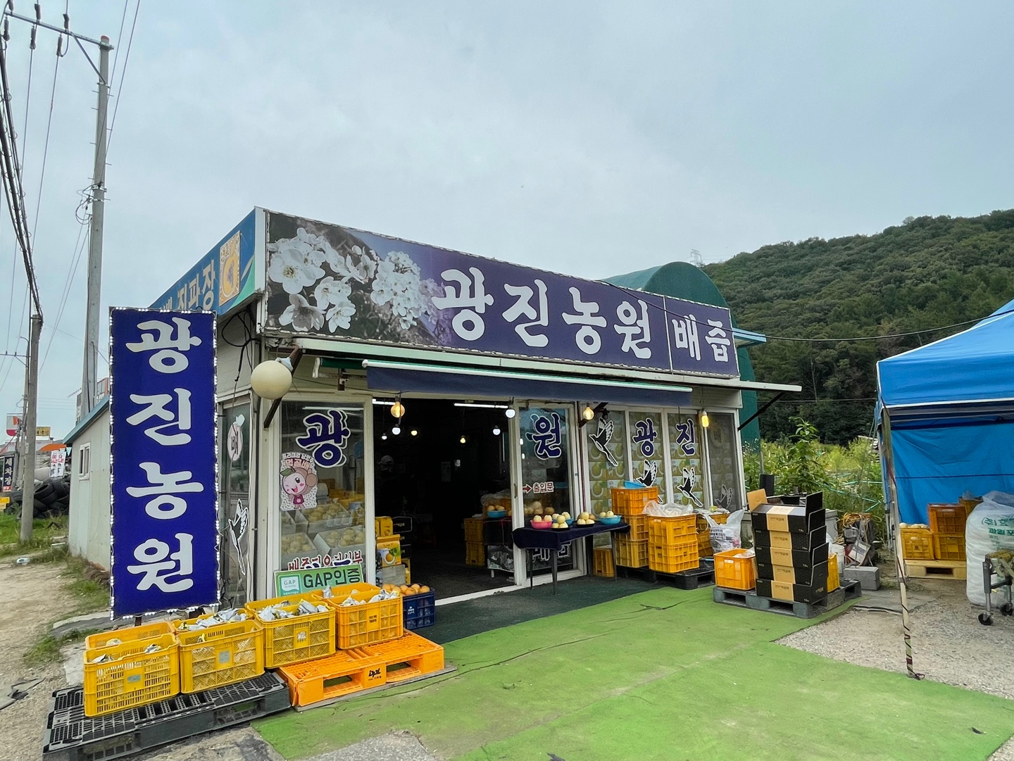 남양주먹골배 광진농원