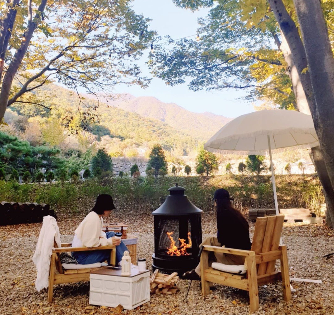 리틀포레