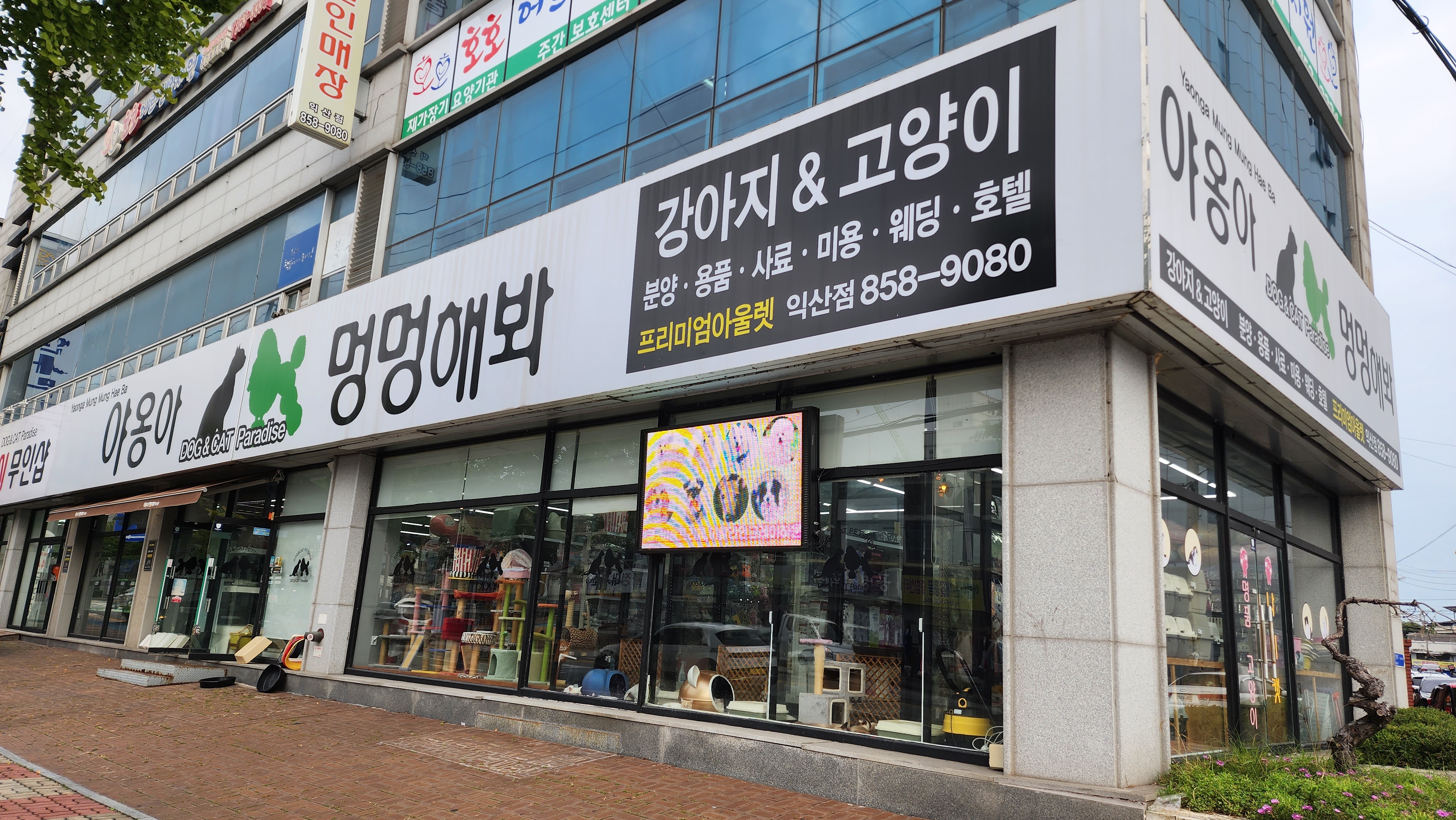 야옹아멍멍해봐 익산점