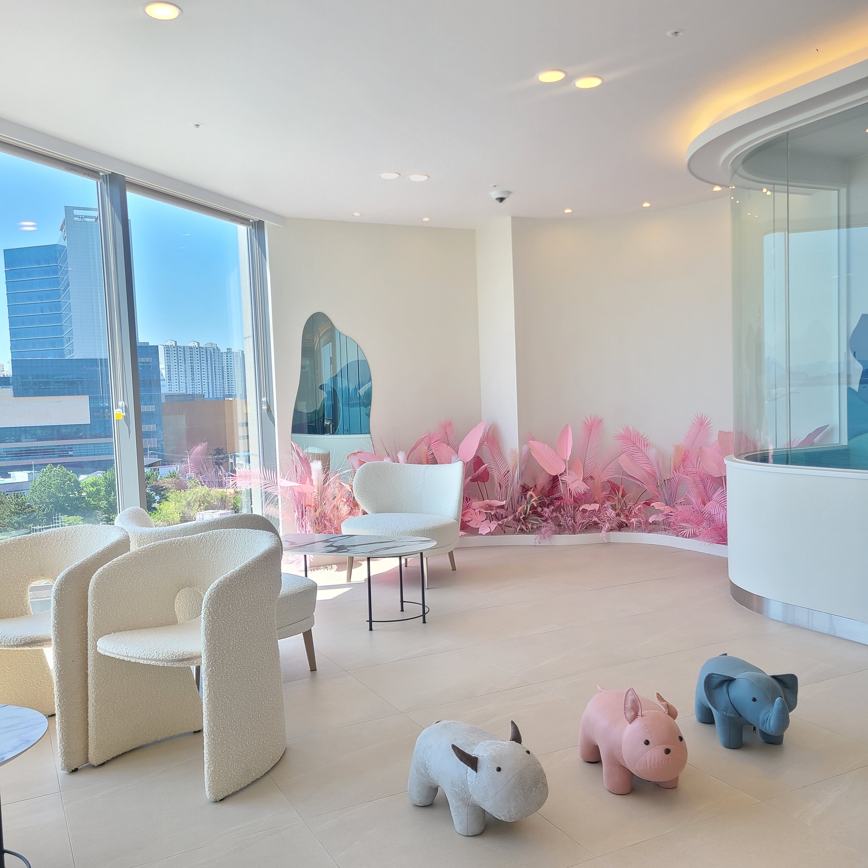 알파키즈치과의원 대표 이미지