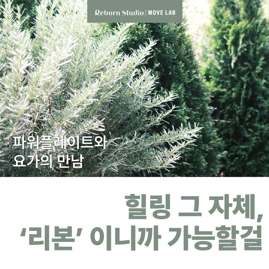 리본스튜디오 파워플레이트 & 무브랩
