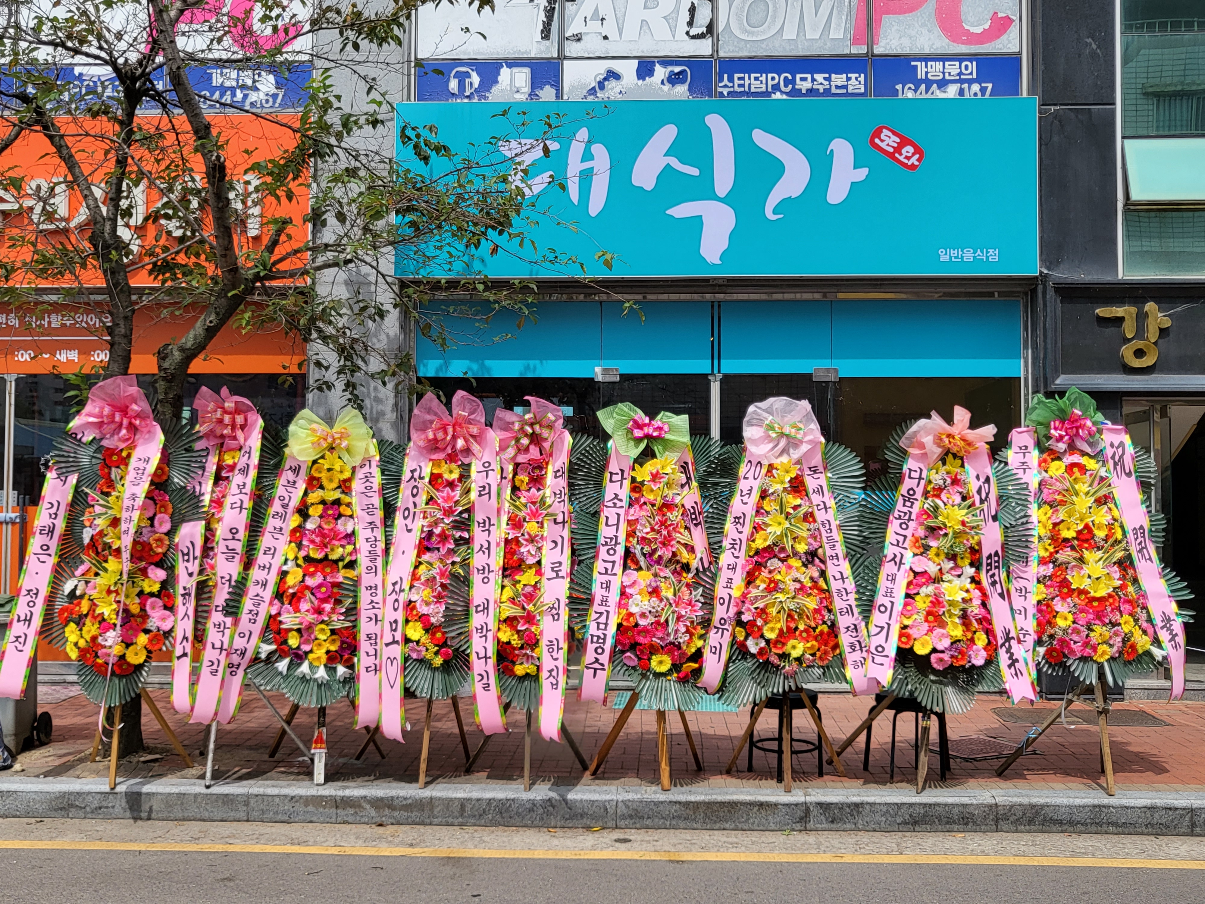 대식가 반려동물 동반 애견카페