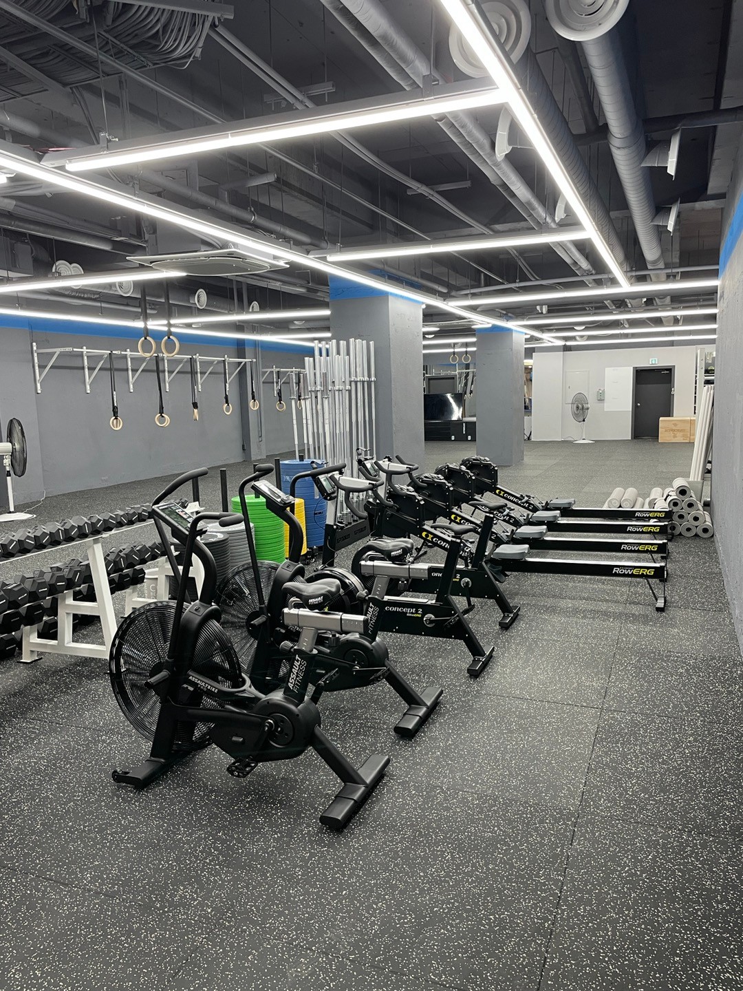 크로스핏 시너지