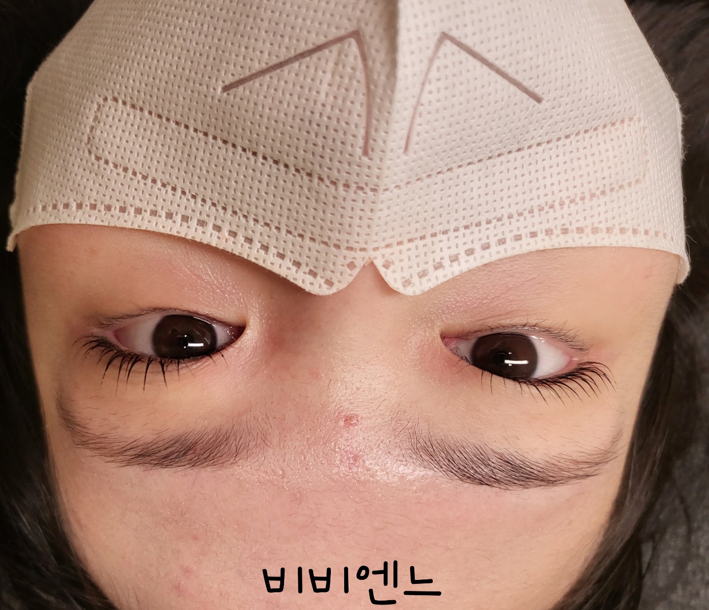 비비엔느