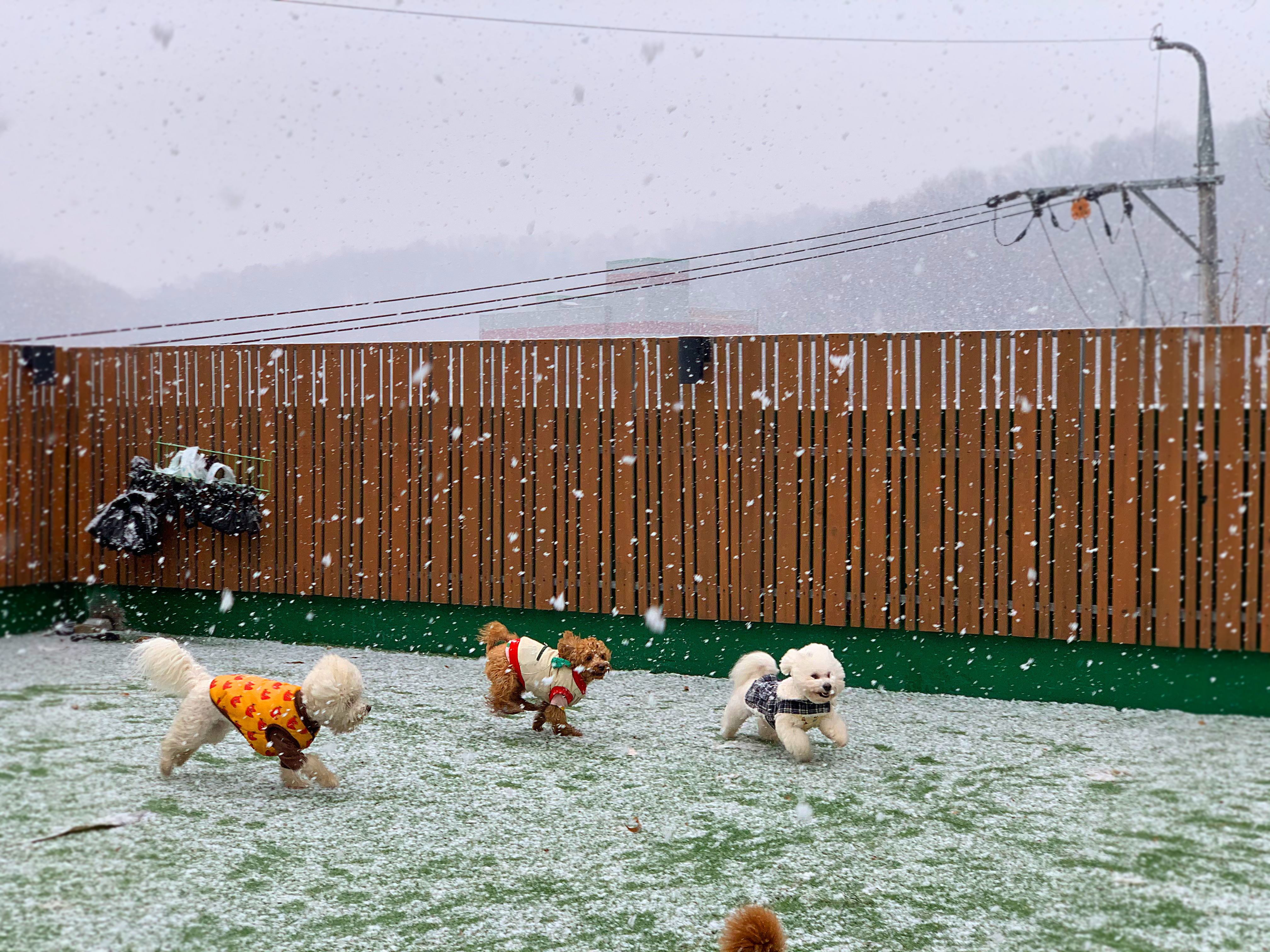 위드티쳐 대표 이미지