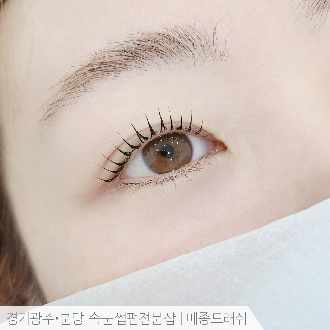 메종드래쉬