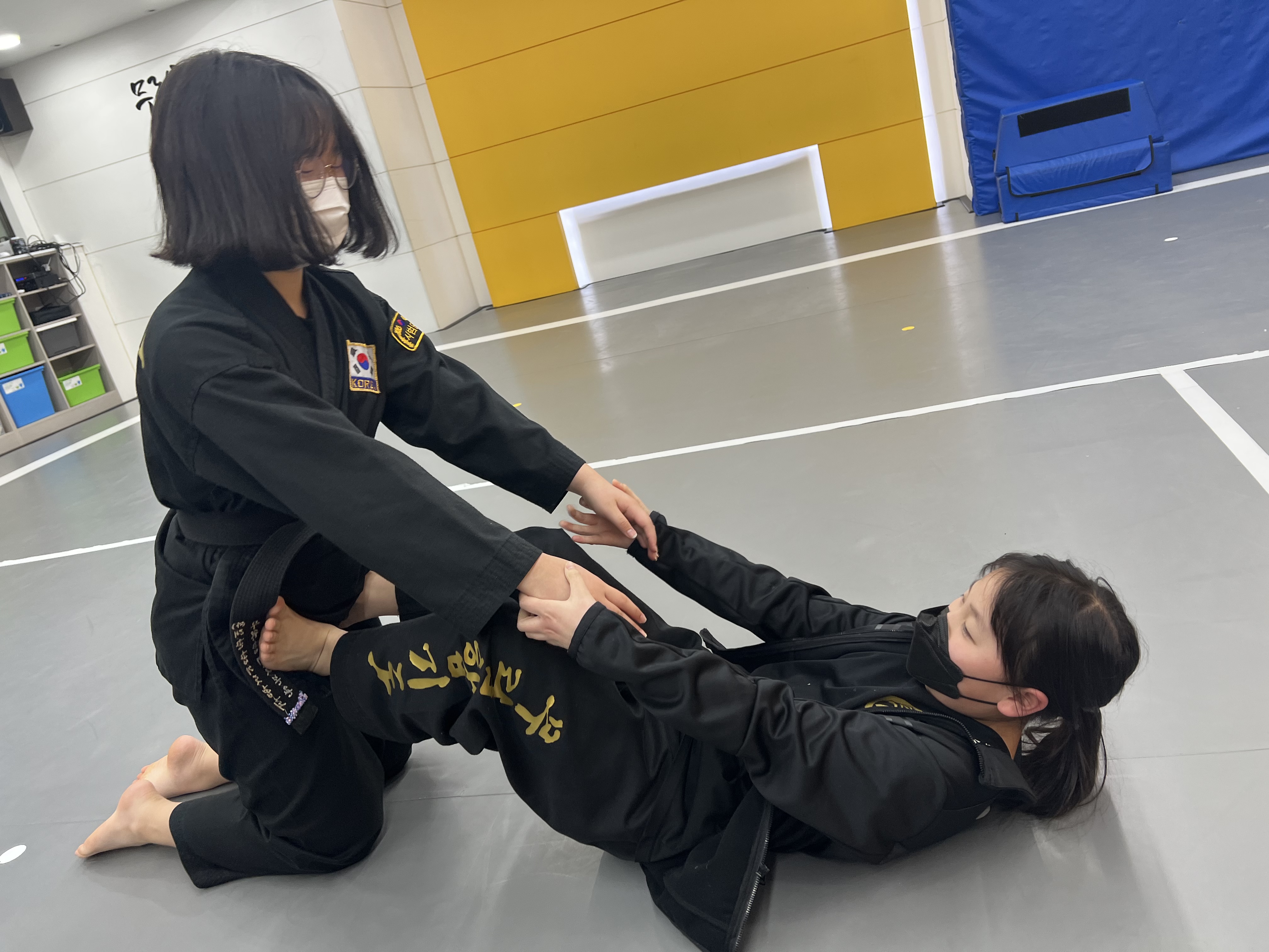 무림합기도