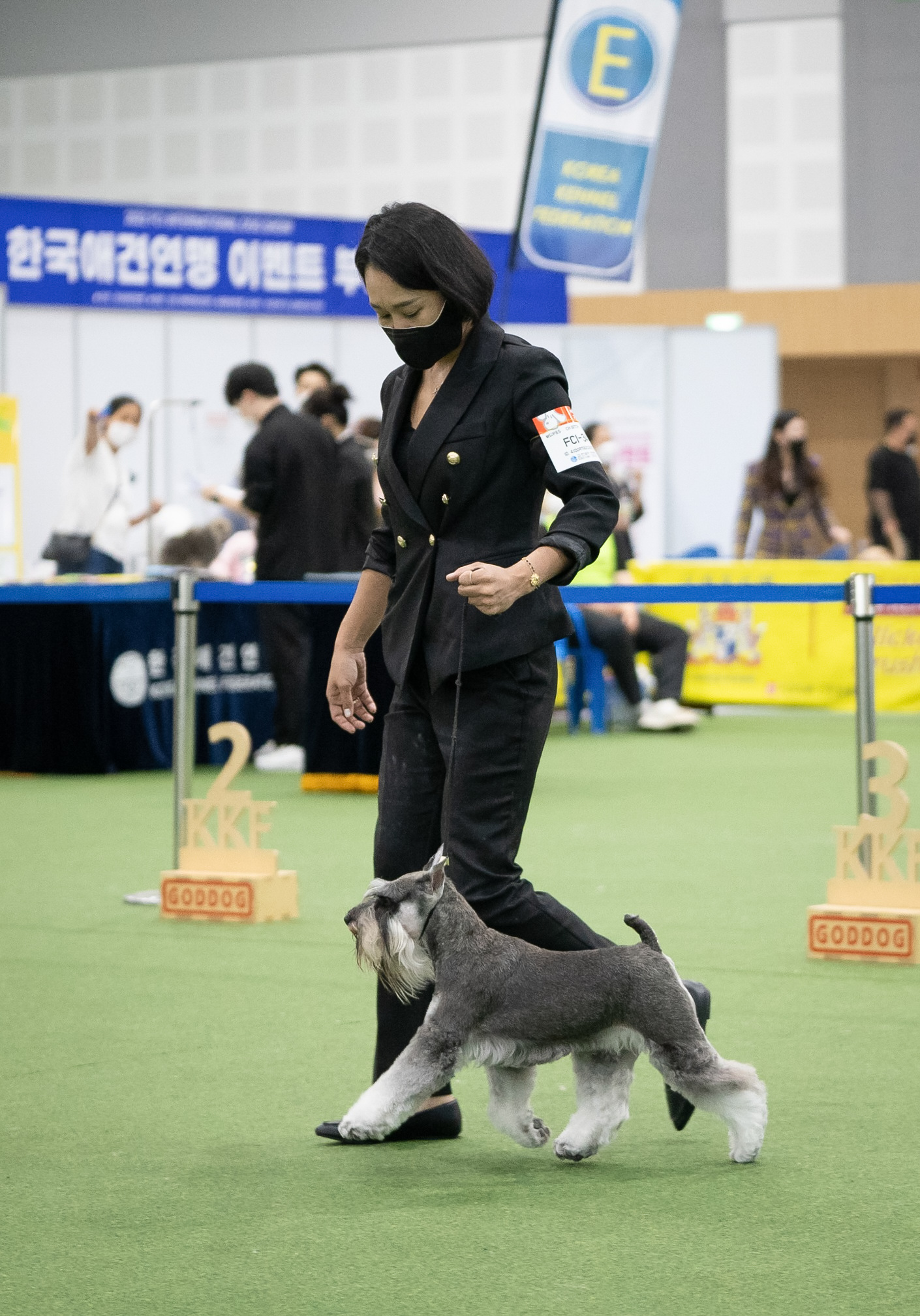 개키우는언니 대표 이미지