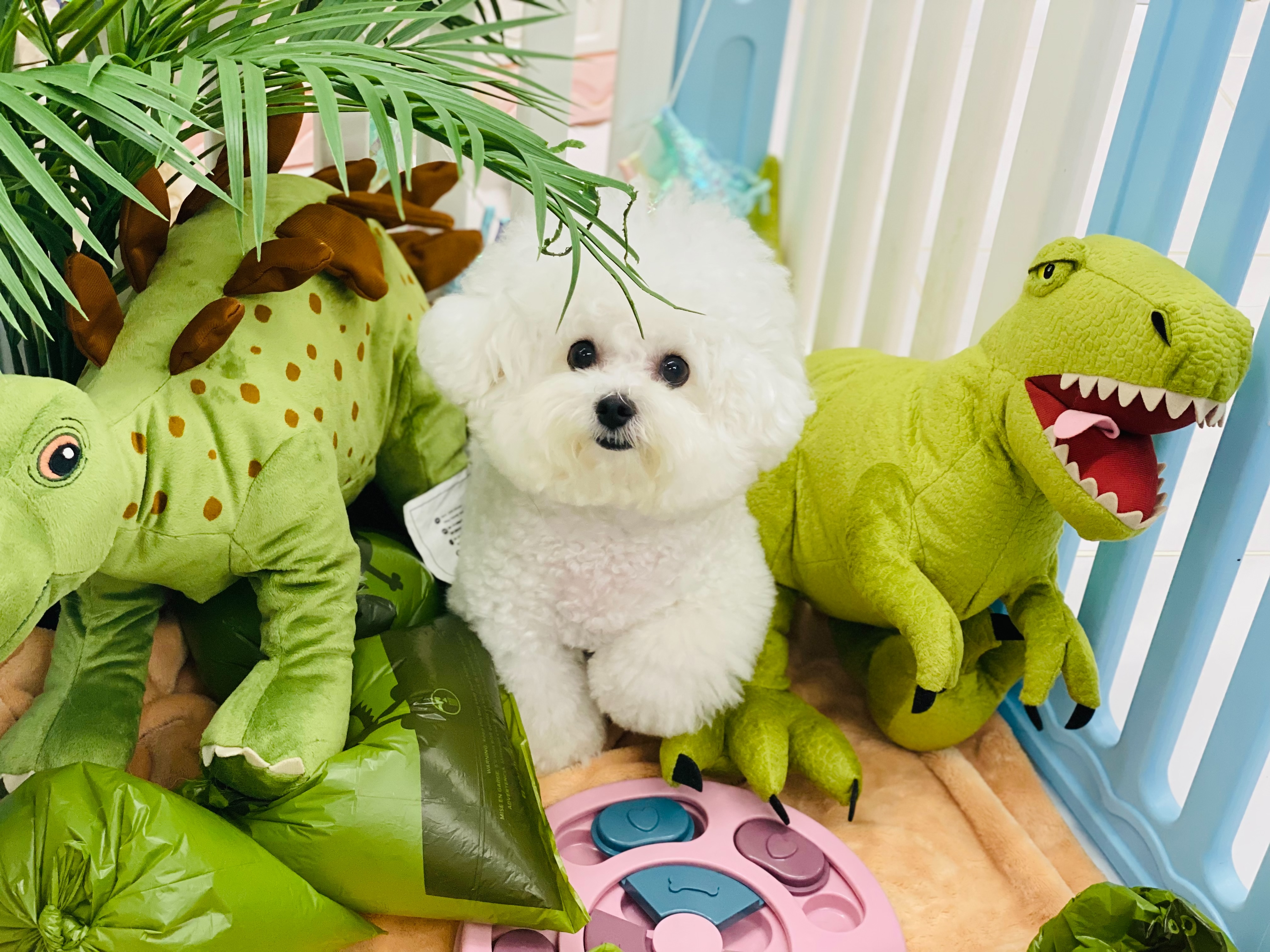 딩굴댕굴 송탄점 대표 이미지