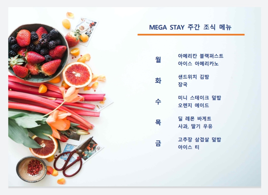 메가스테이학사 대치점