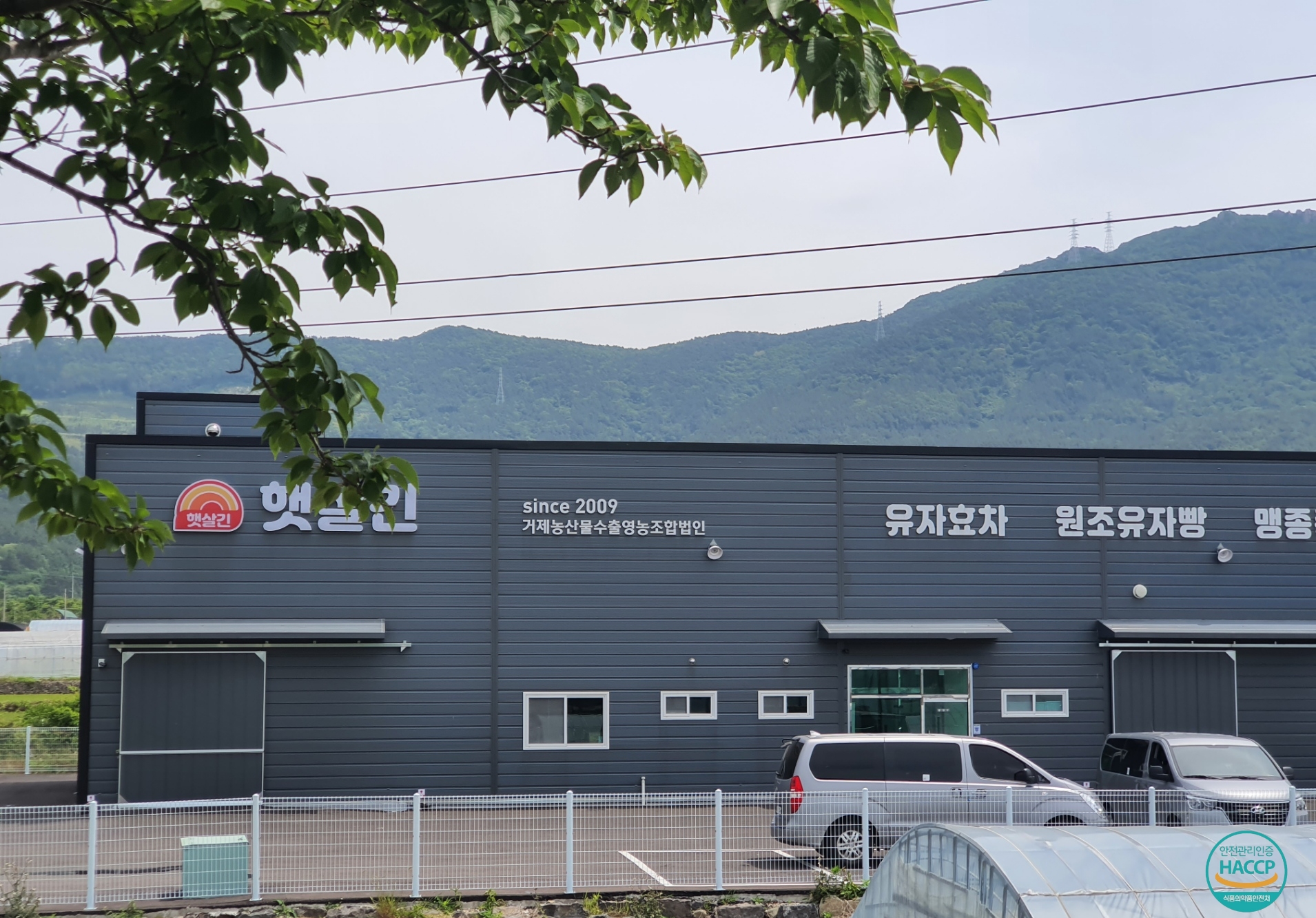 거제농산물수출영농조합법인